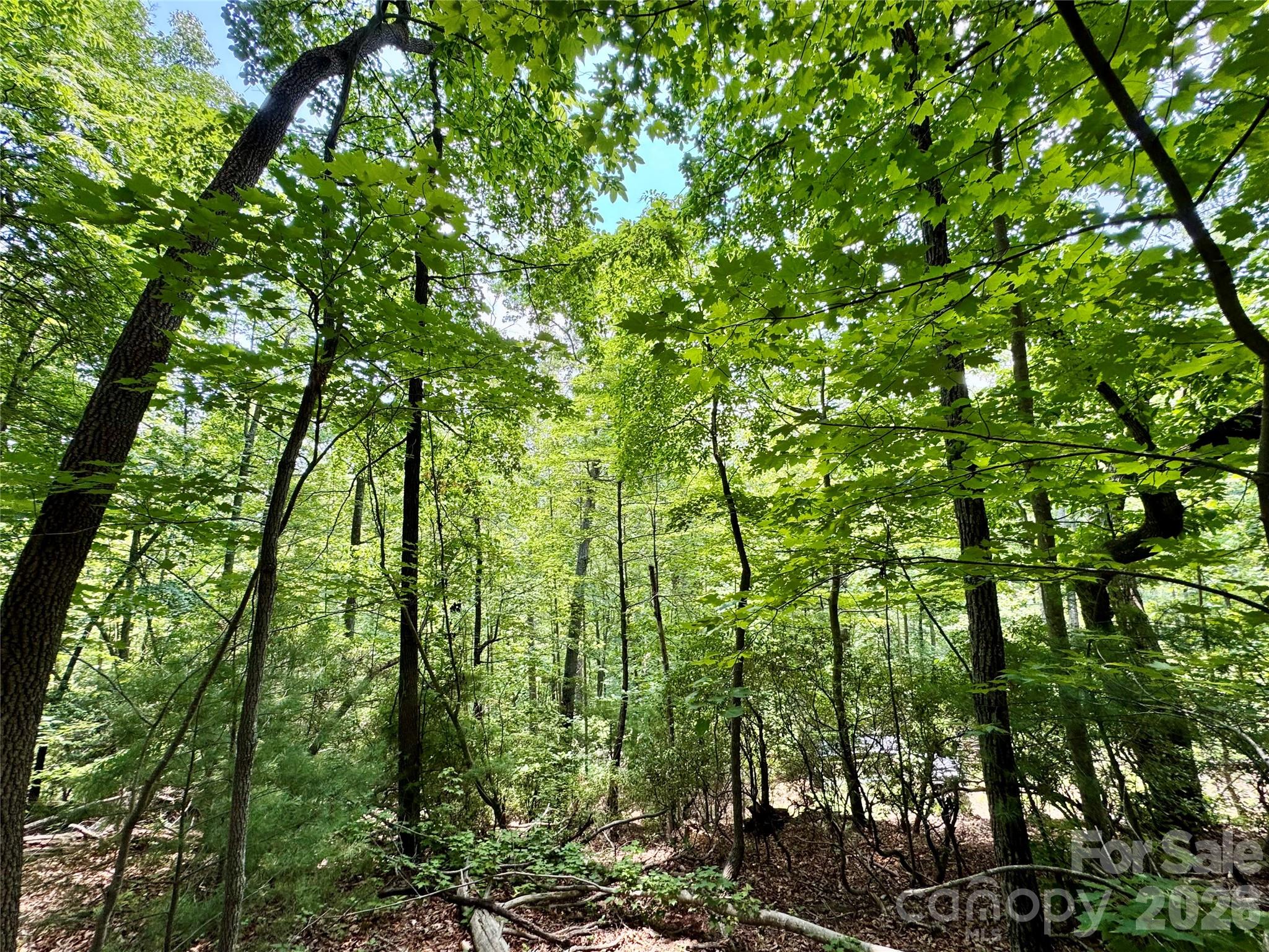 Lot 23 Bear Track Lane 23 Property Photo 1