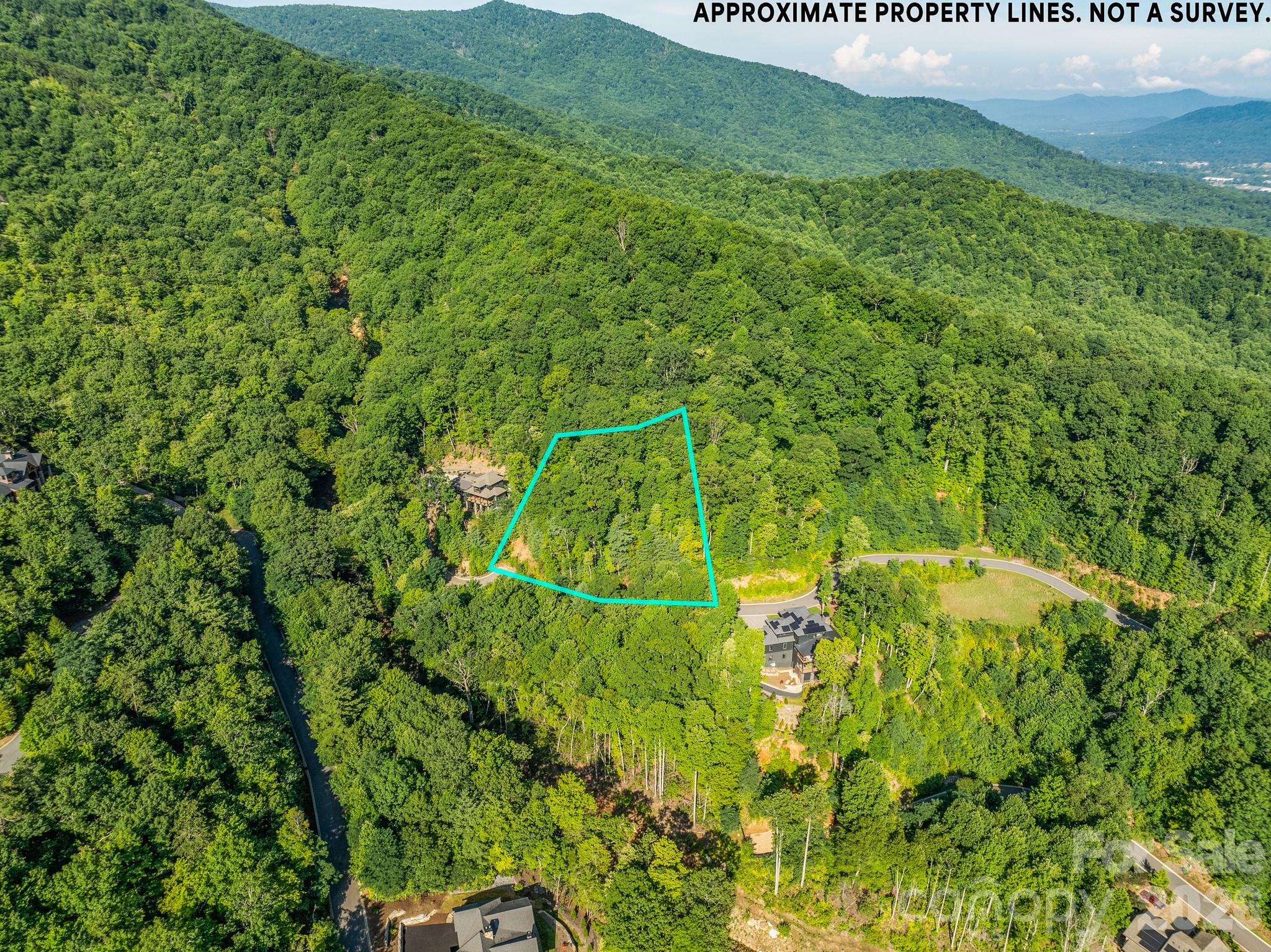 59 Old Greybeard Loop Property Photo 1