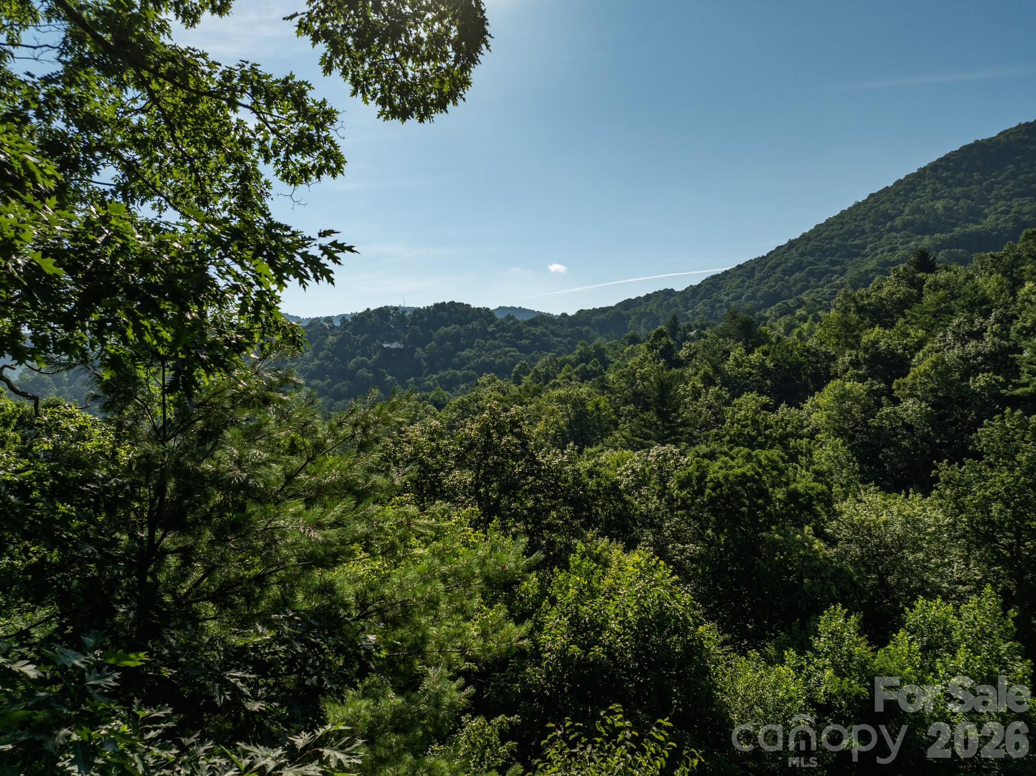 59 Old Greybeard Loop Property Photo 2
