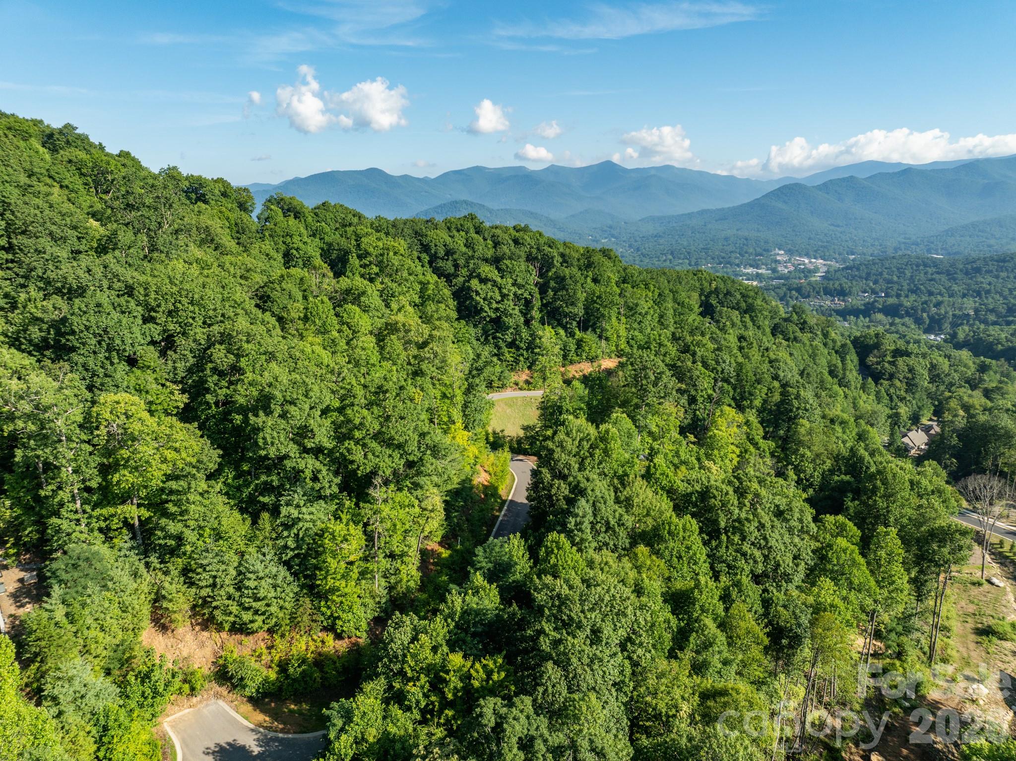 59 Old Greybeard Loop Property Photo 4