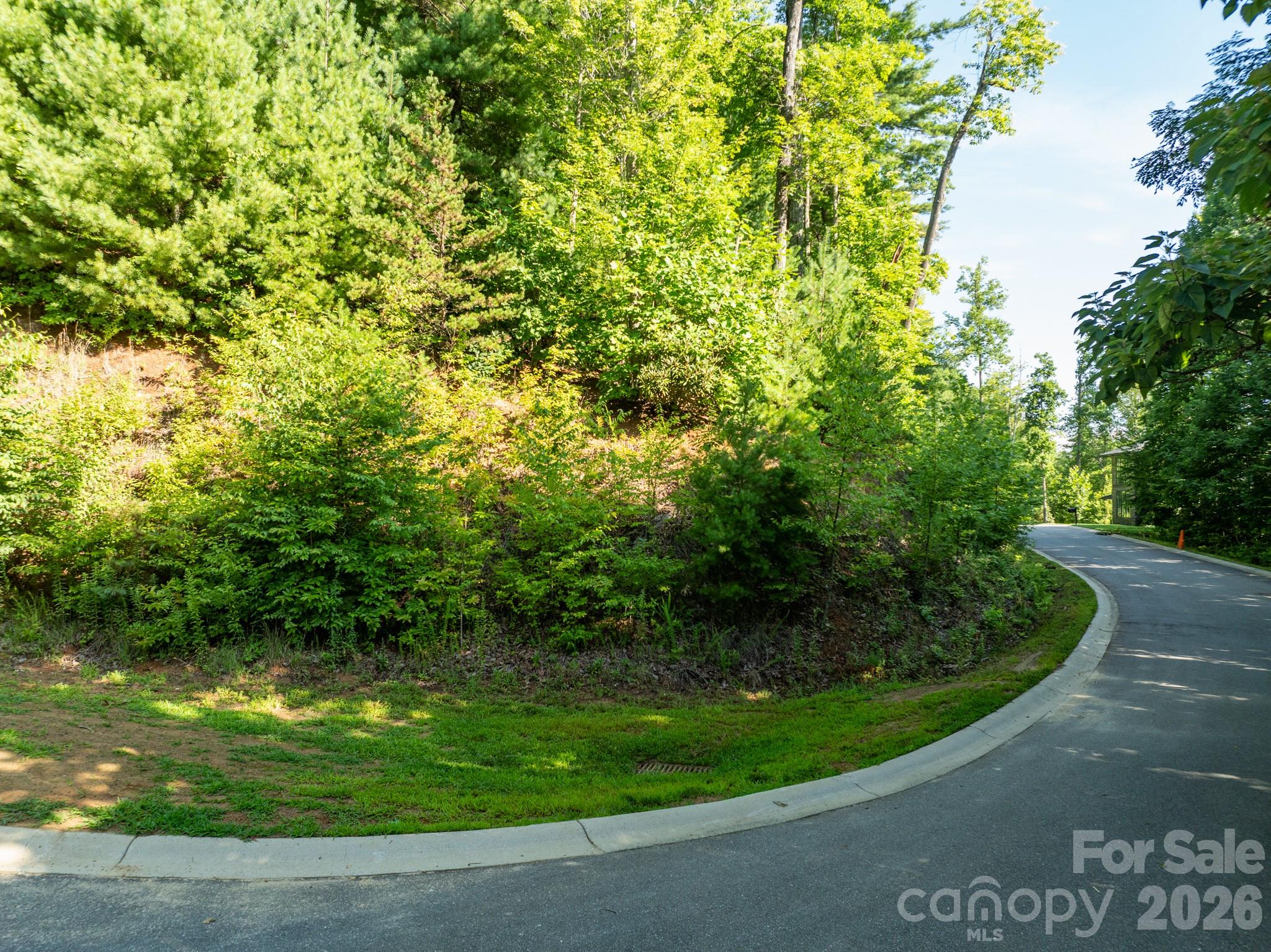 59 Old Greybeard Loop Property Photo 6