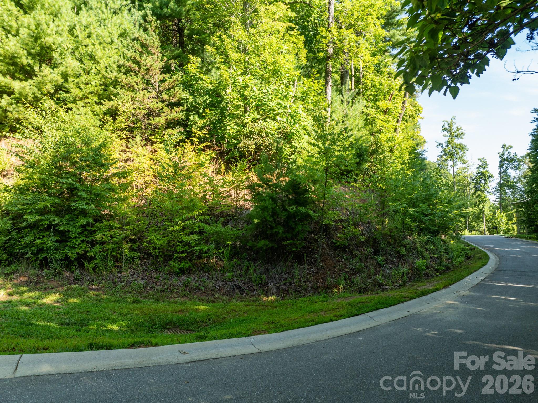 59 Old Greybeard Loop Property Photo 7