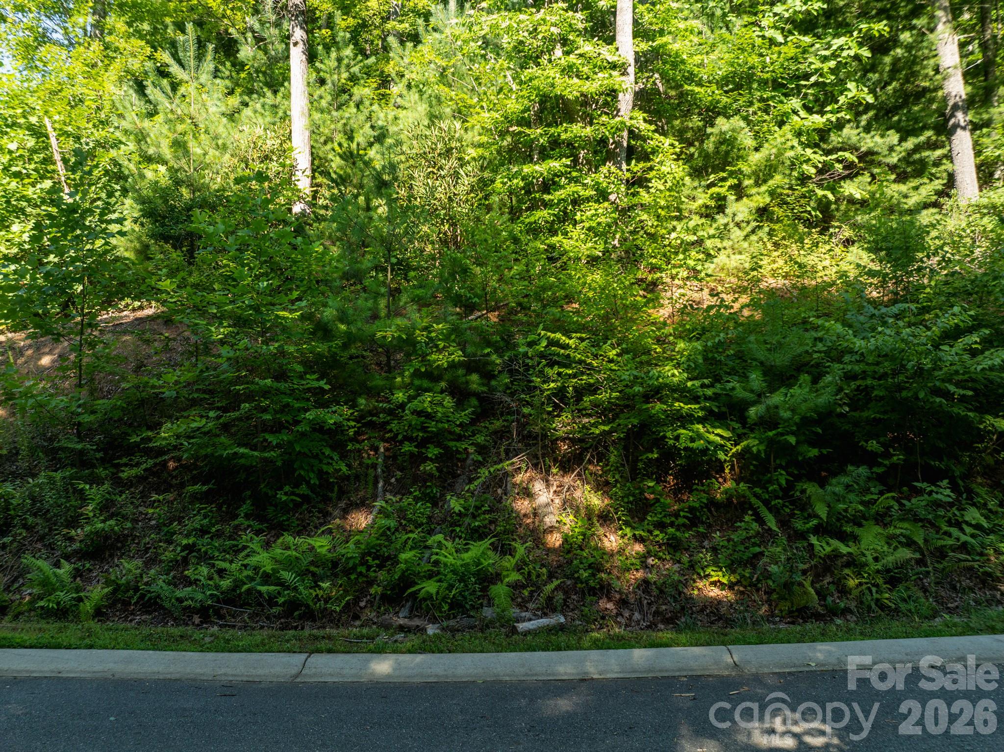 59 Old Greybeard Loop Property Photo 8