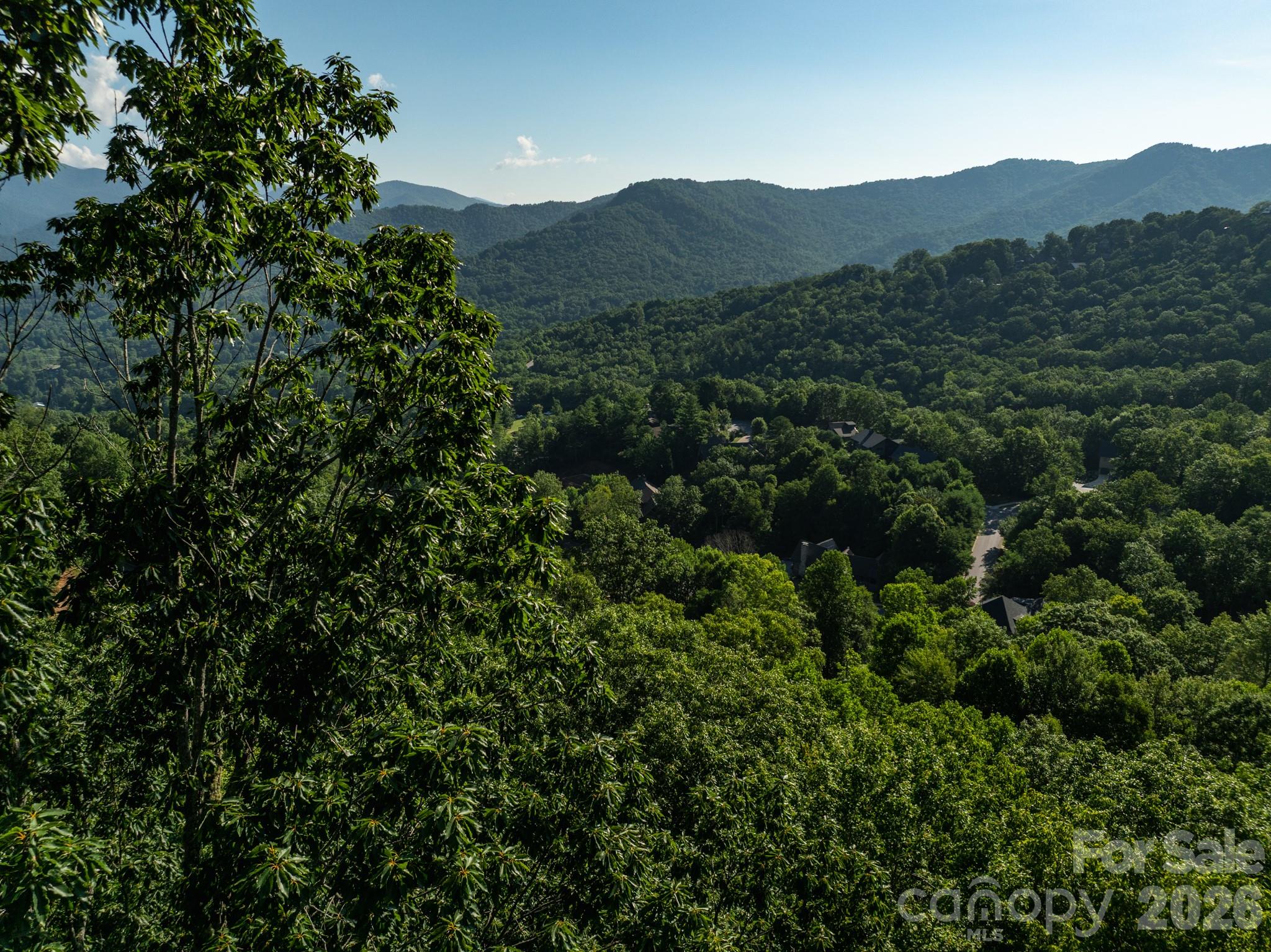 59 Old Greybeard Loop Property Photo 18