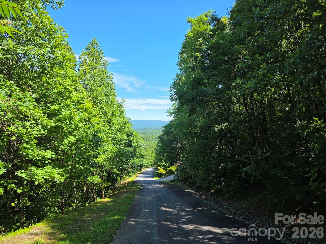 52 Big View Drive Property Photo 1