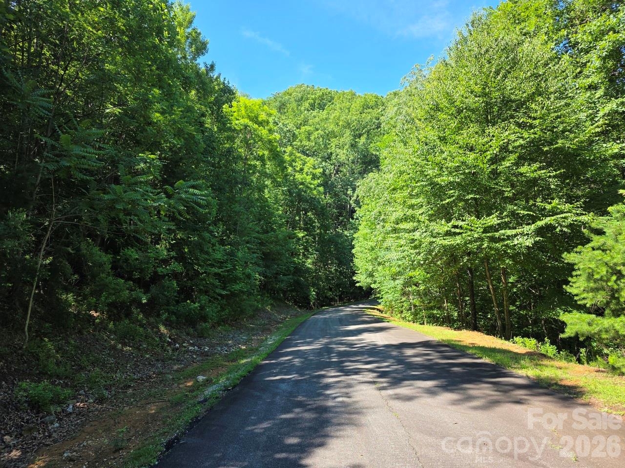52 Big View Drive Property Photo 6