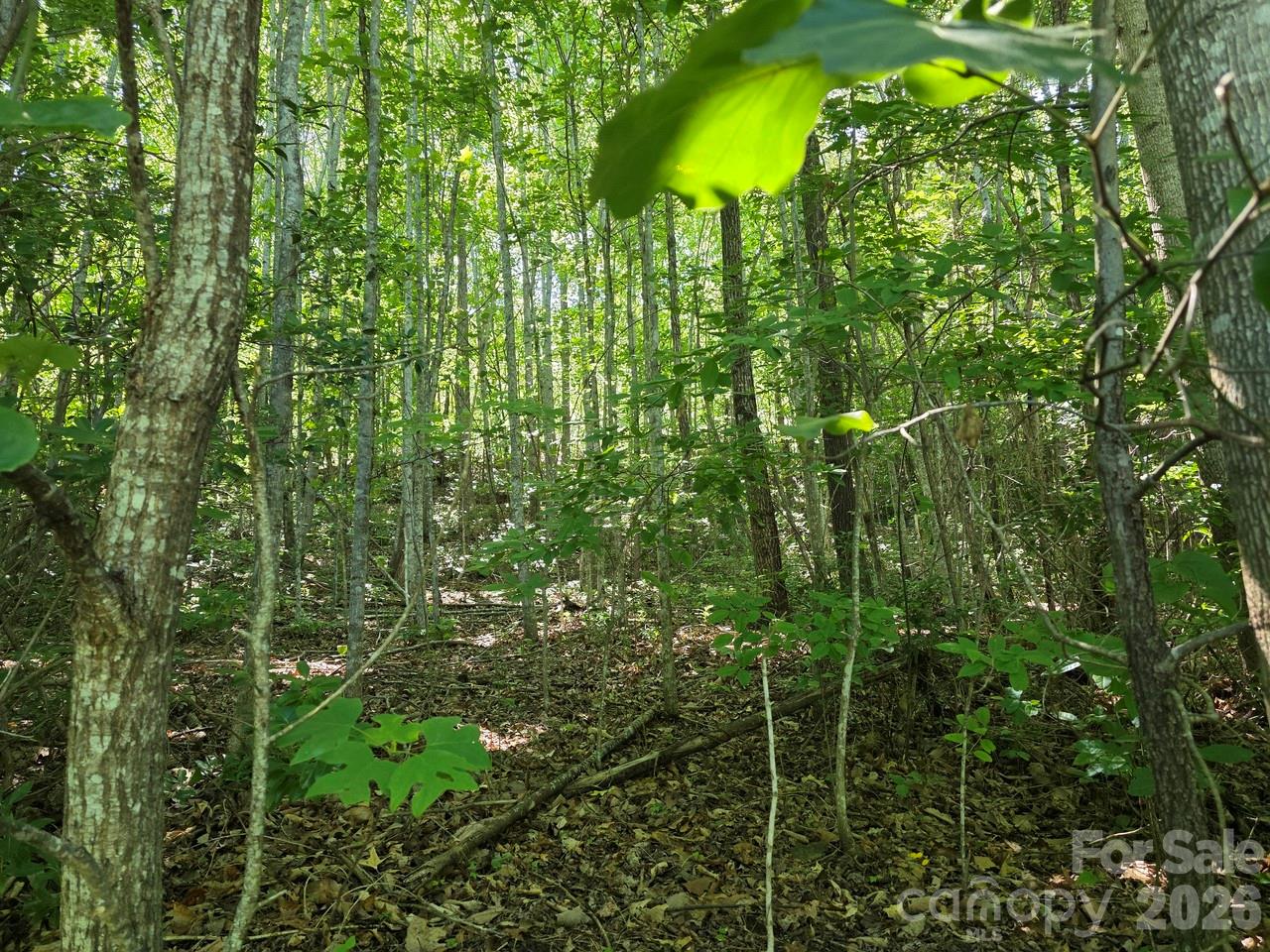 52 Big View Drive Property Photo 9
