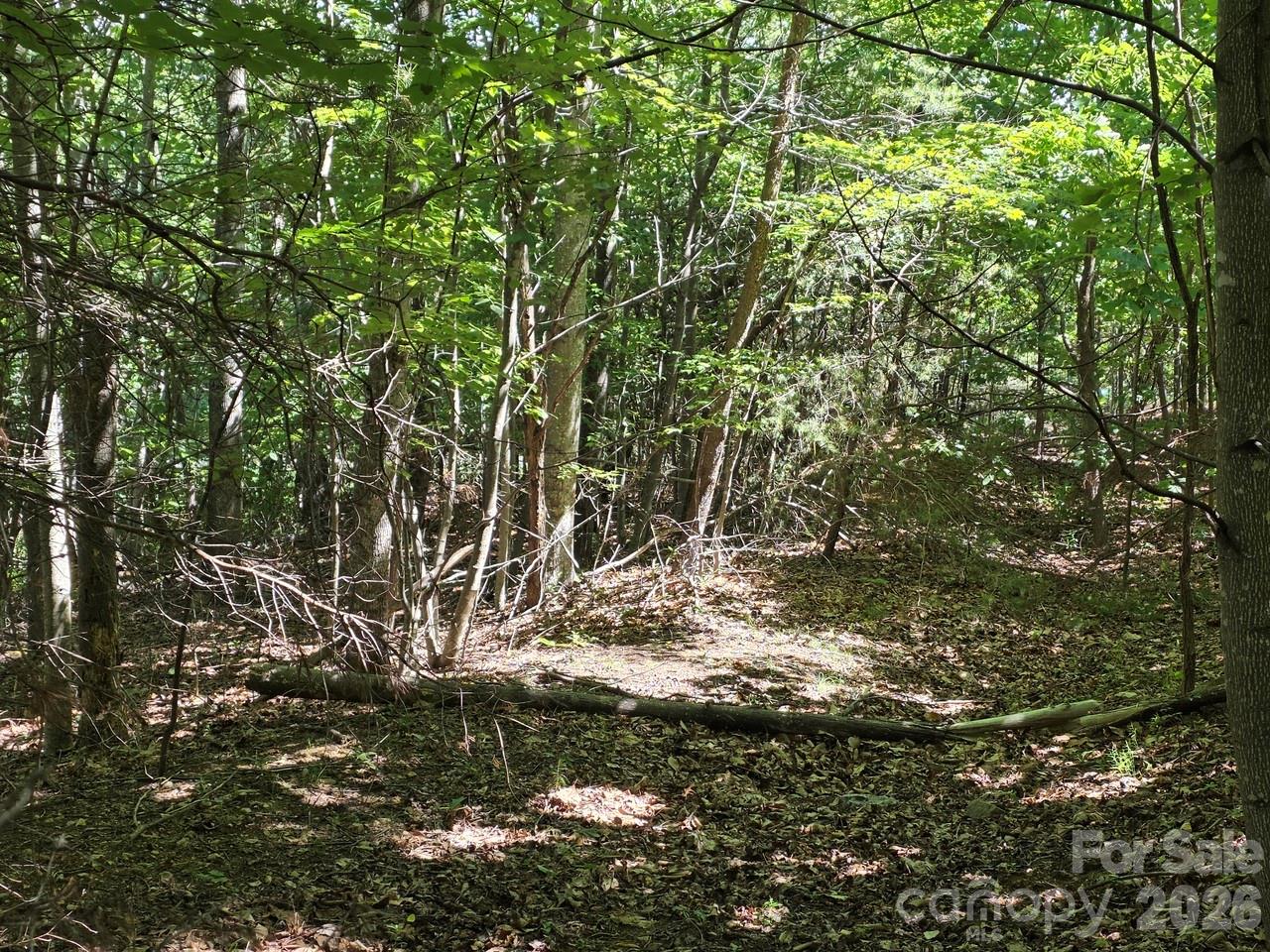 52 Big View Drive Property Photo 10