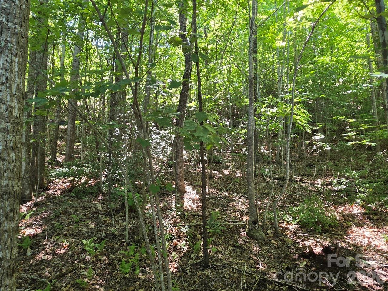 52 Big View Drive Property Photo 11