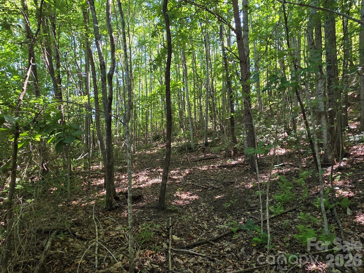 52 Big View Drive Property Photo 13