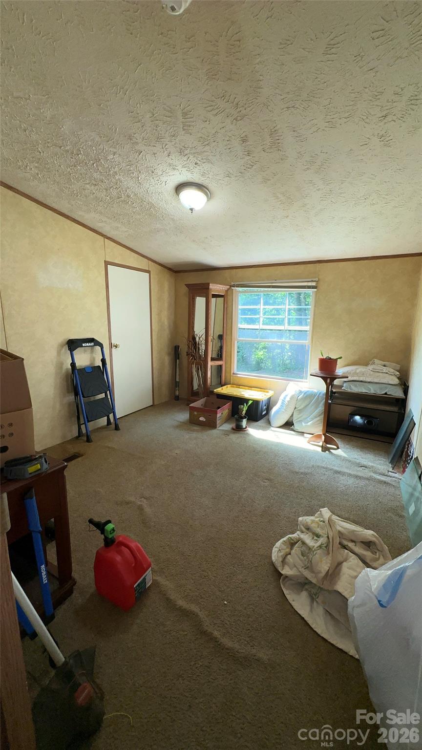 294 E Lester Lane Property Photo 10