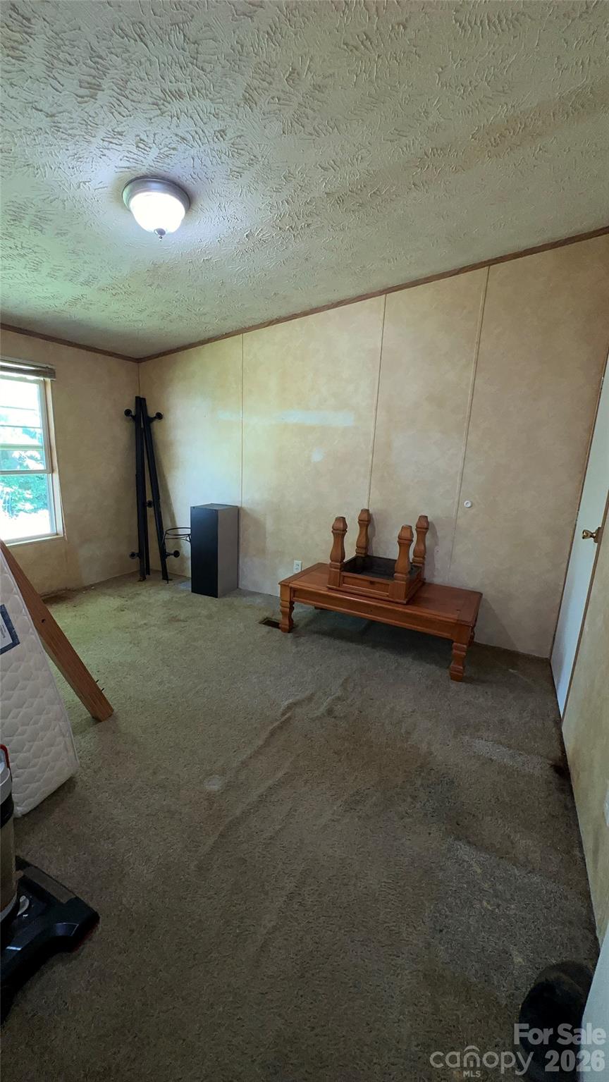 294 E Lester Lane Property Photo 37