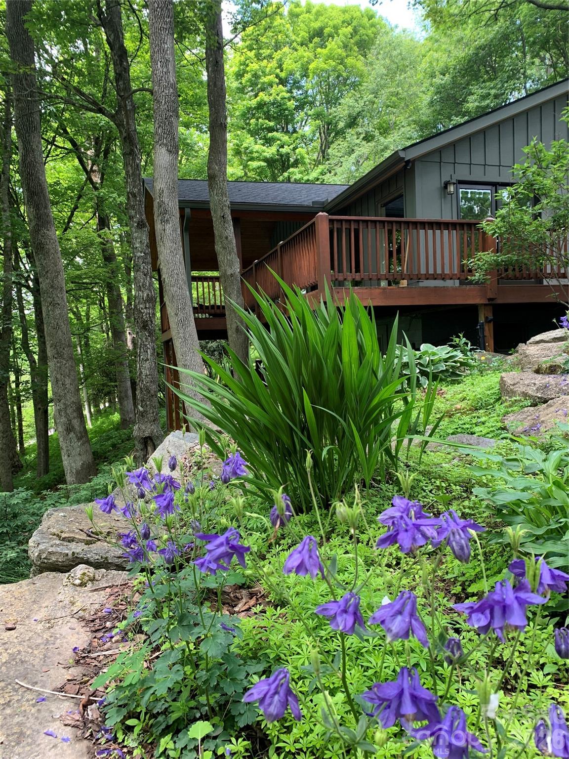 1209 Mckinney Gap Drive Property Photo 10