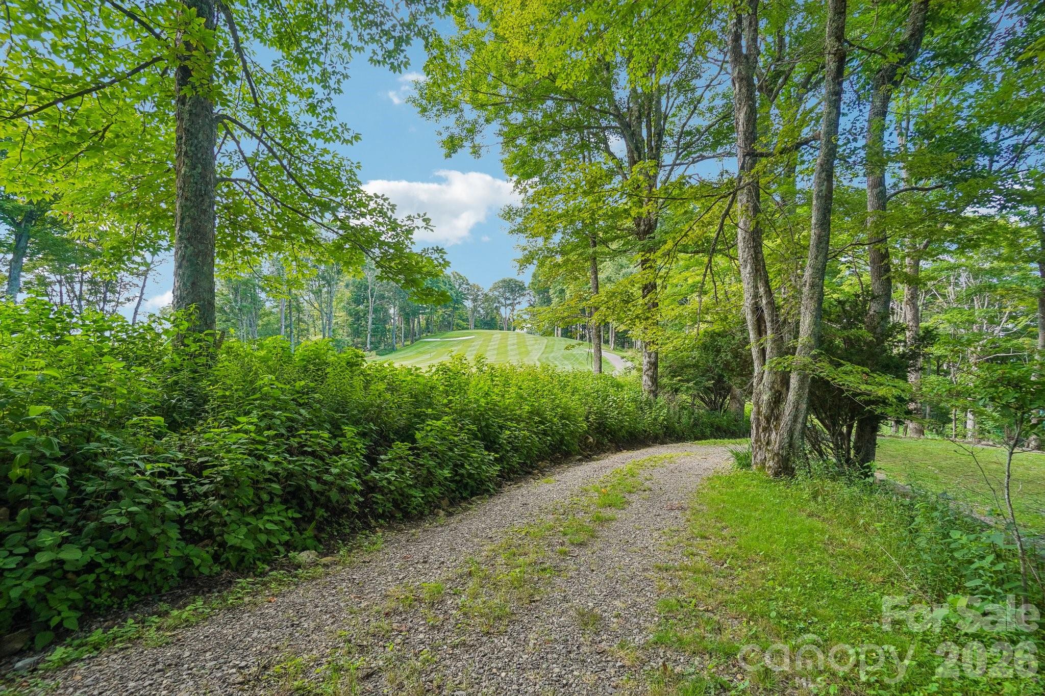 1209 Mckinney Gap Drive Property Photo 31