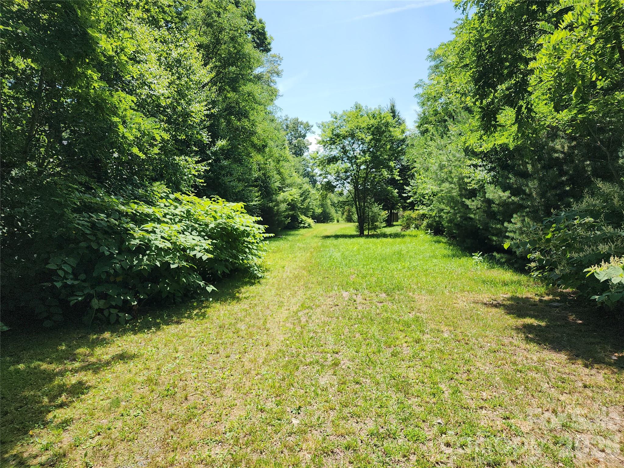 00 Chestnut Drive Property Photo 2