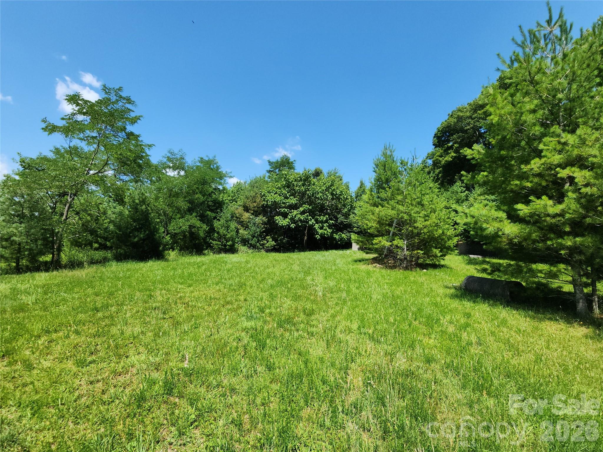 00 Chestnut Drive Property Photo 8