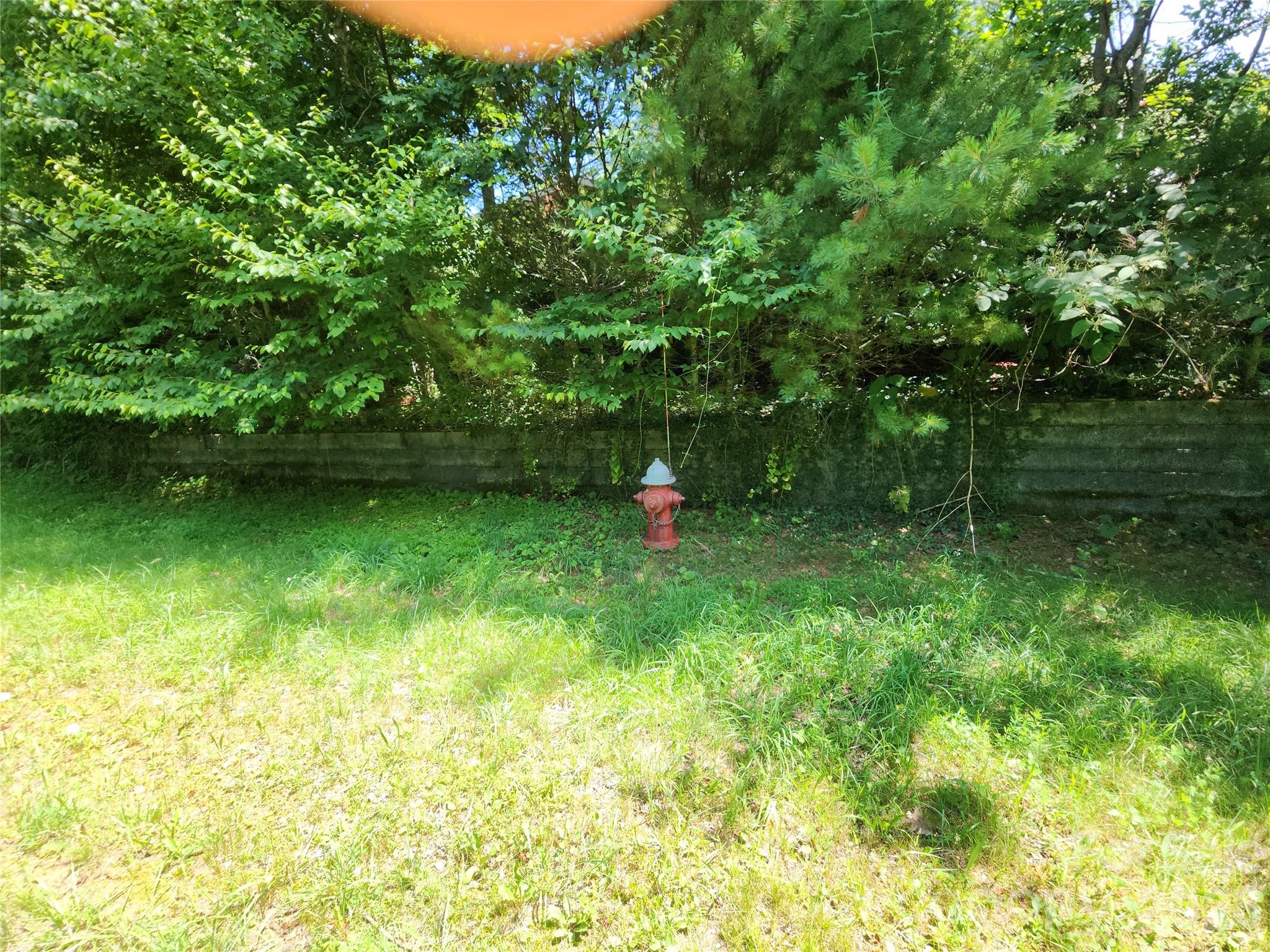 00 Chestnut Drive Property Photo 10