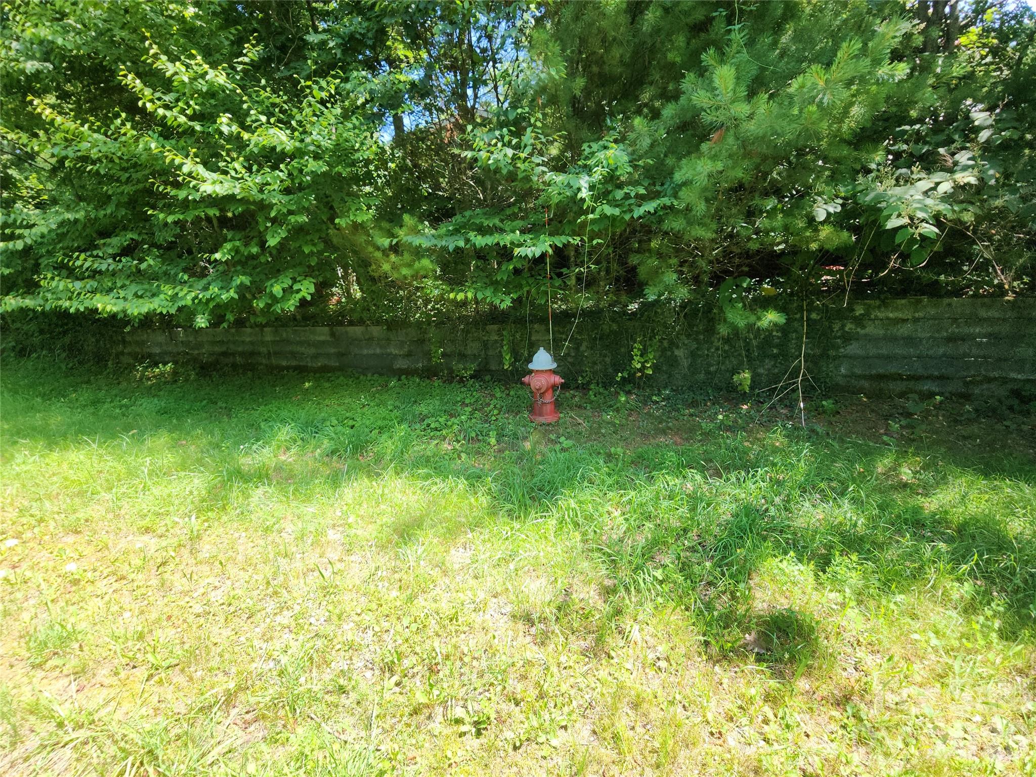 00 Chestnut Drive Property Photo 11