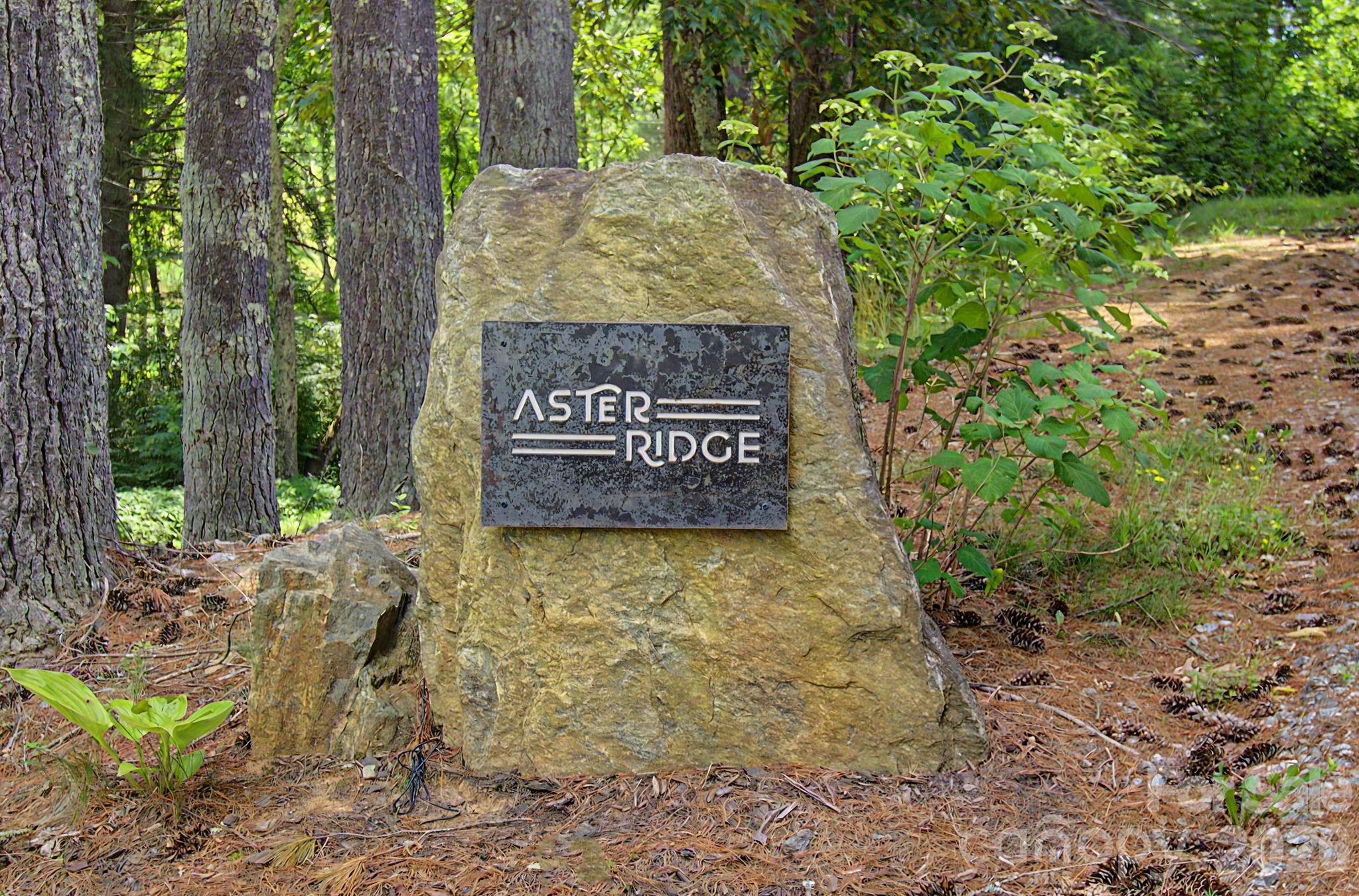 34 Aster Ridge Drive Property Photo 47