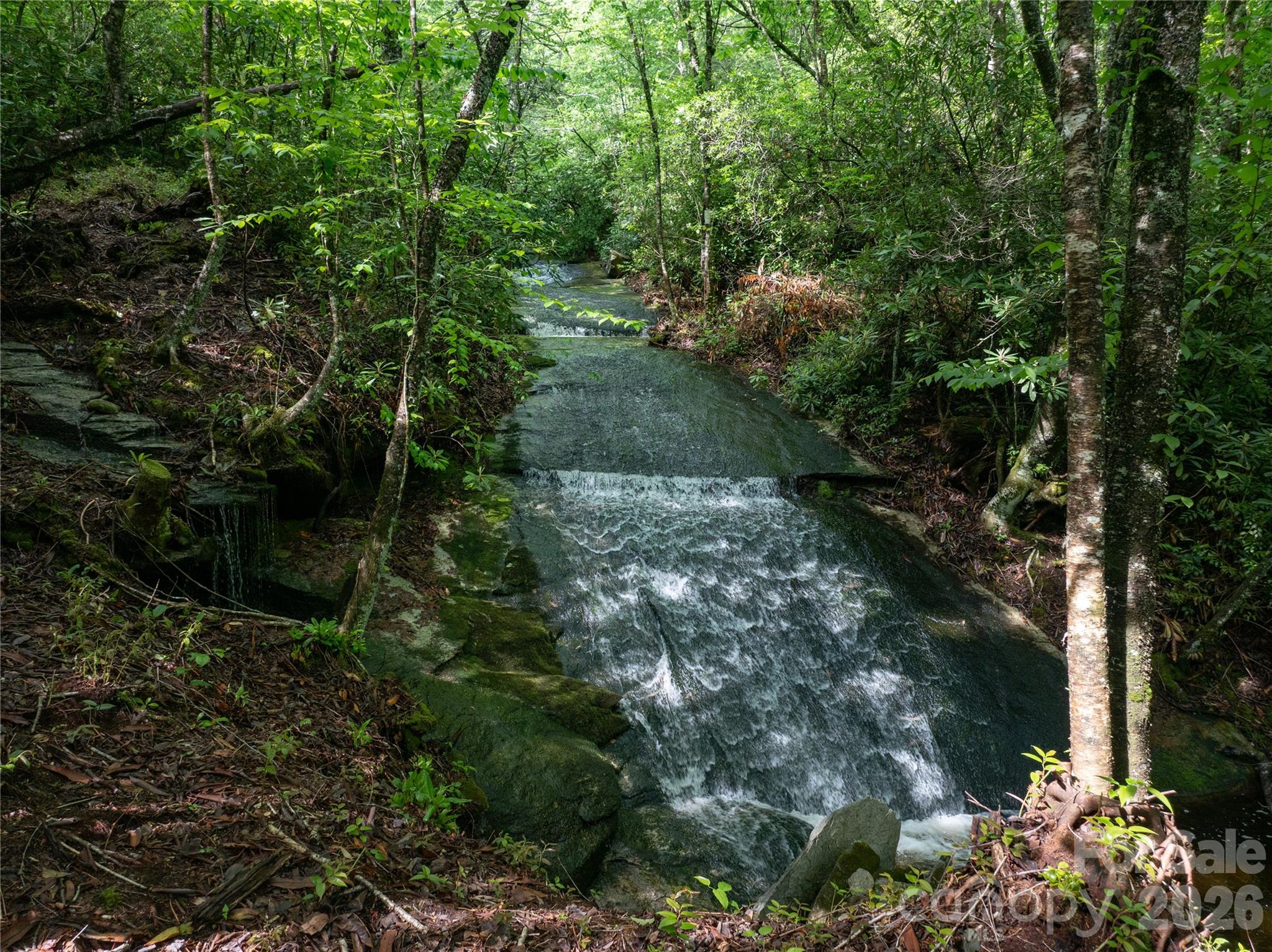River Camp Long Ridge Road Property Photo 1