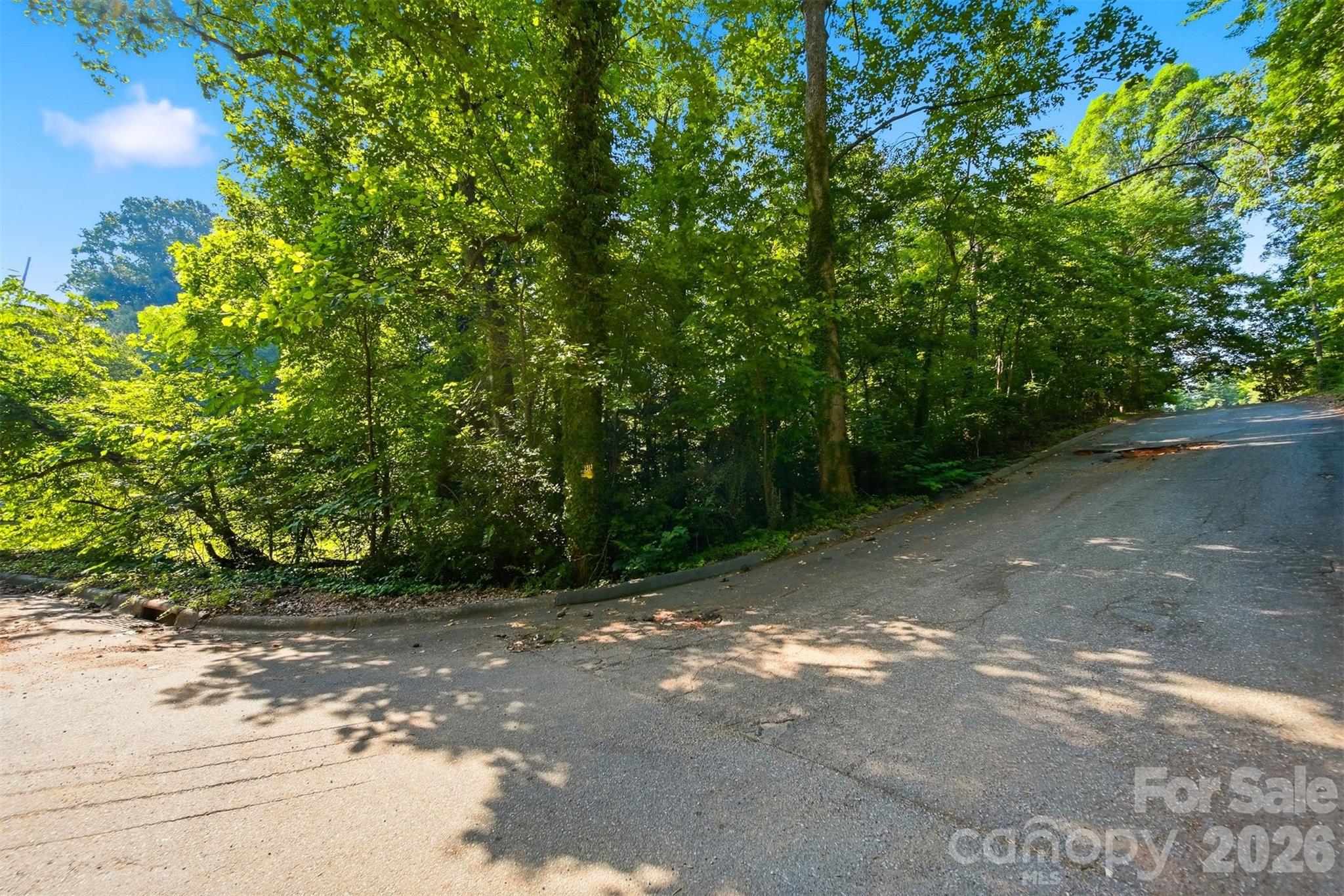 Tbd Archer Street Property Photo 5