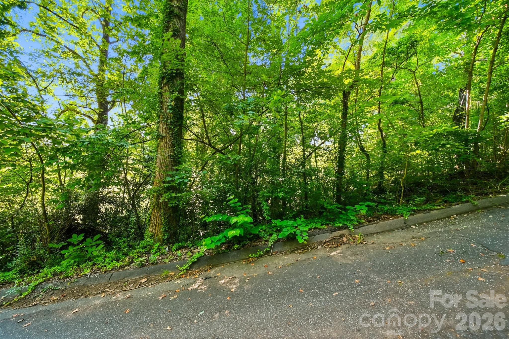 Tbd Archer Street Property Photo 6