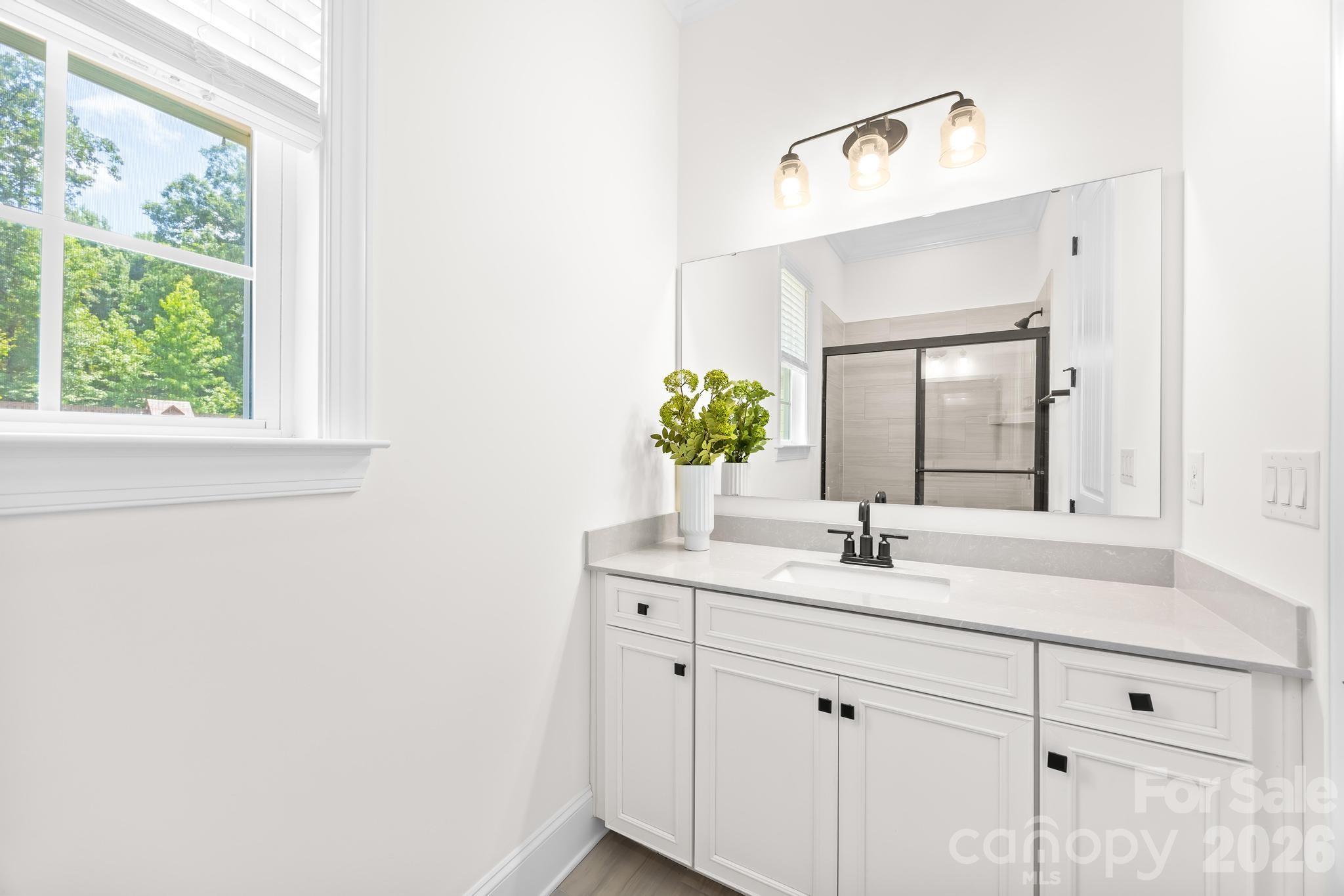 809 Brown Creek Drive Property Photo 18