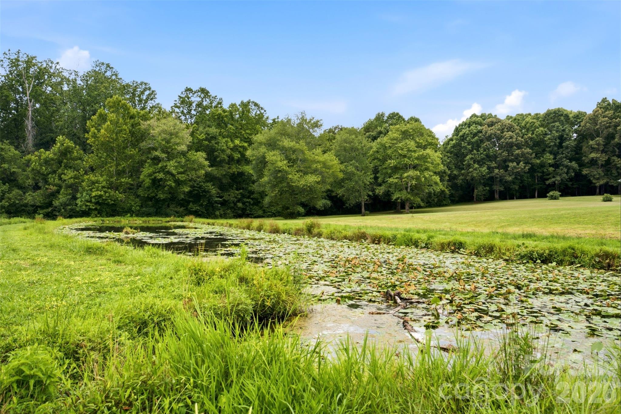 2399 Blackburn Bridge Road Property Photo 4