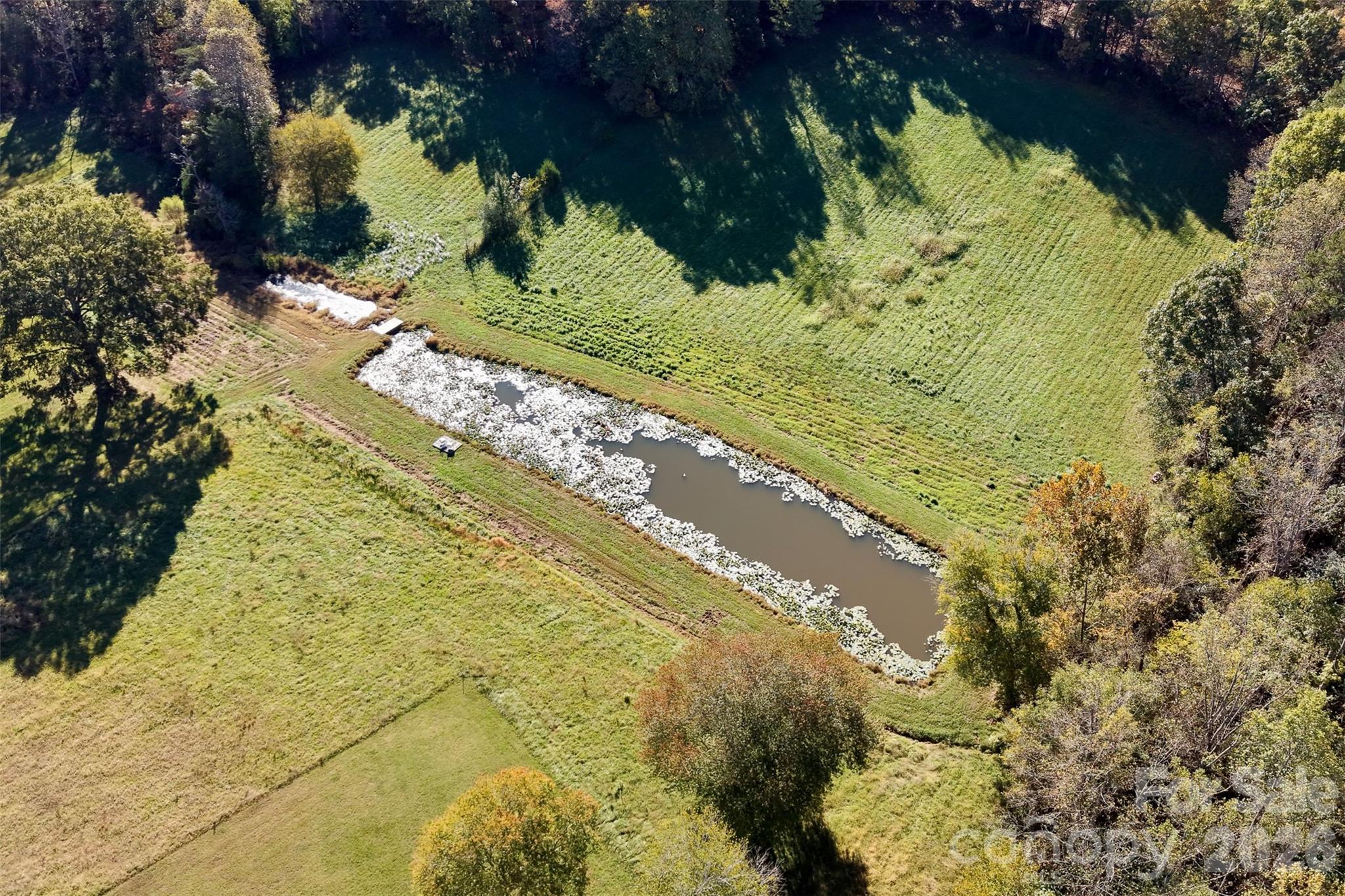 2399 Blackburn Bridge Road Property Photo 7