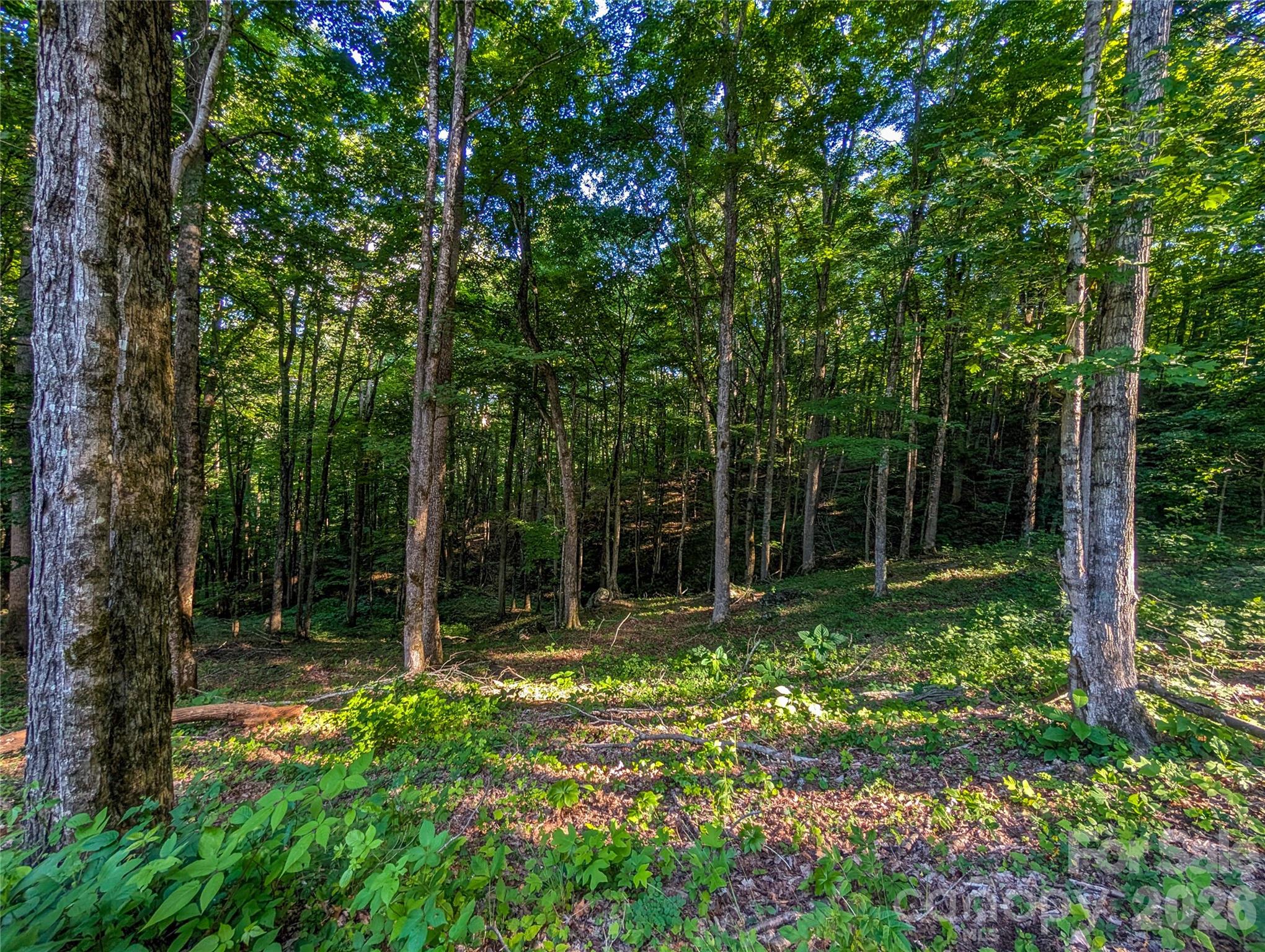 000 Amber Ranches None 47 Property Photo 6