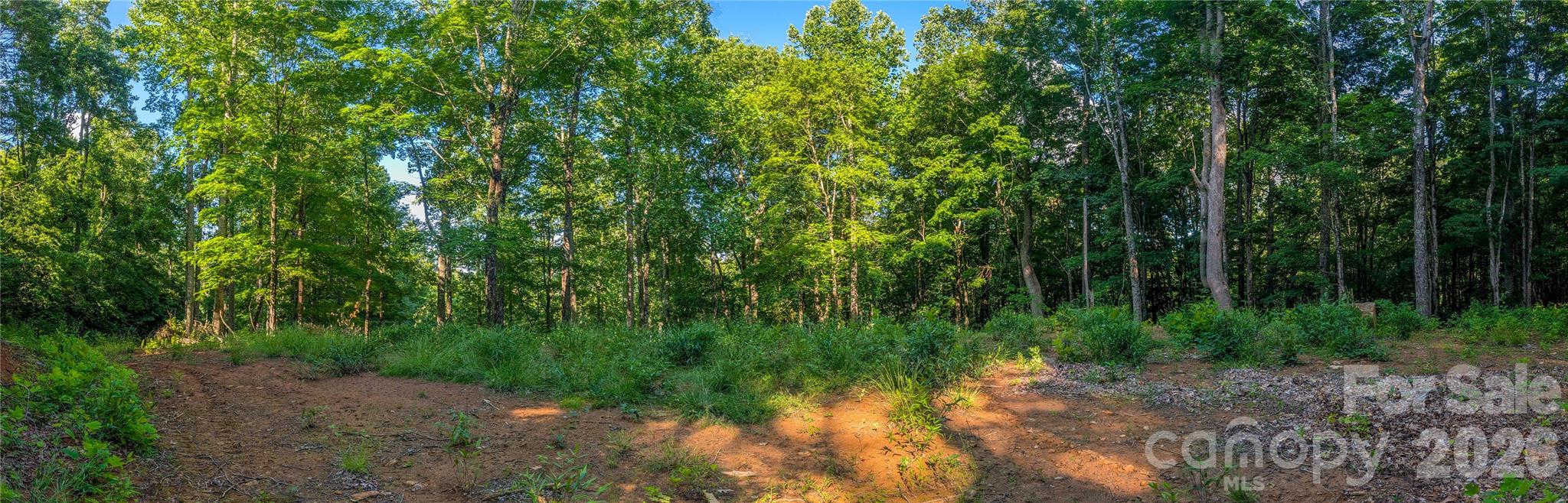 000 Amber Ranches None 47 Property Photo 10