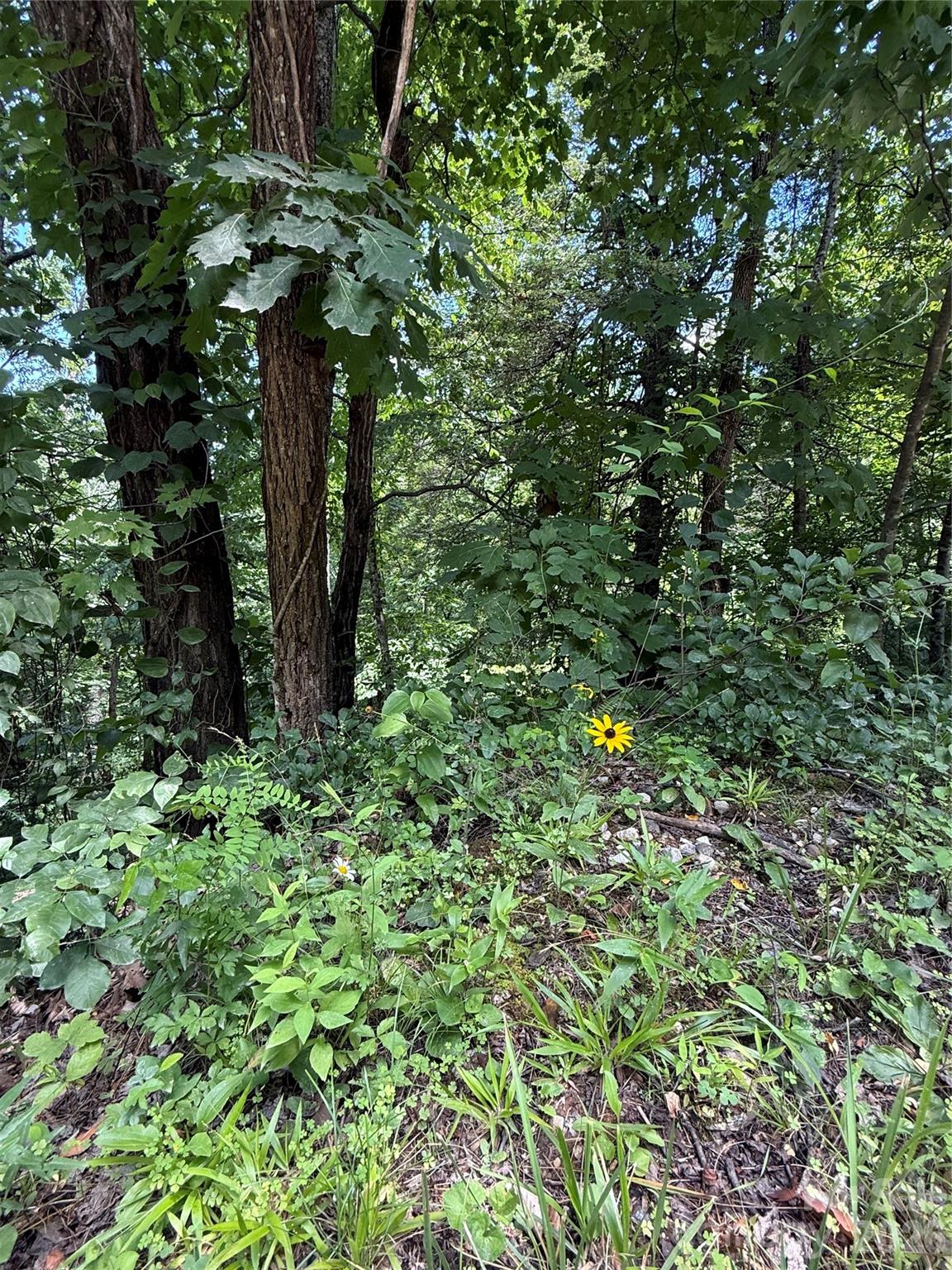 1 Rixhaven Drive Property Photo 5