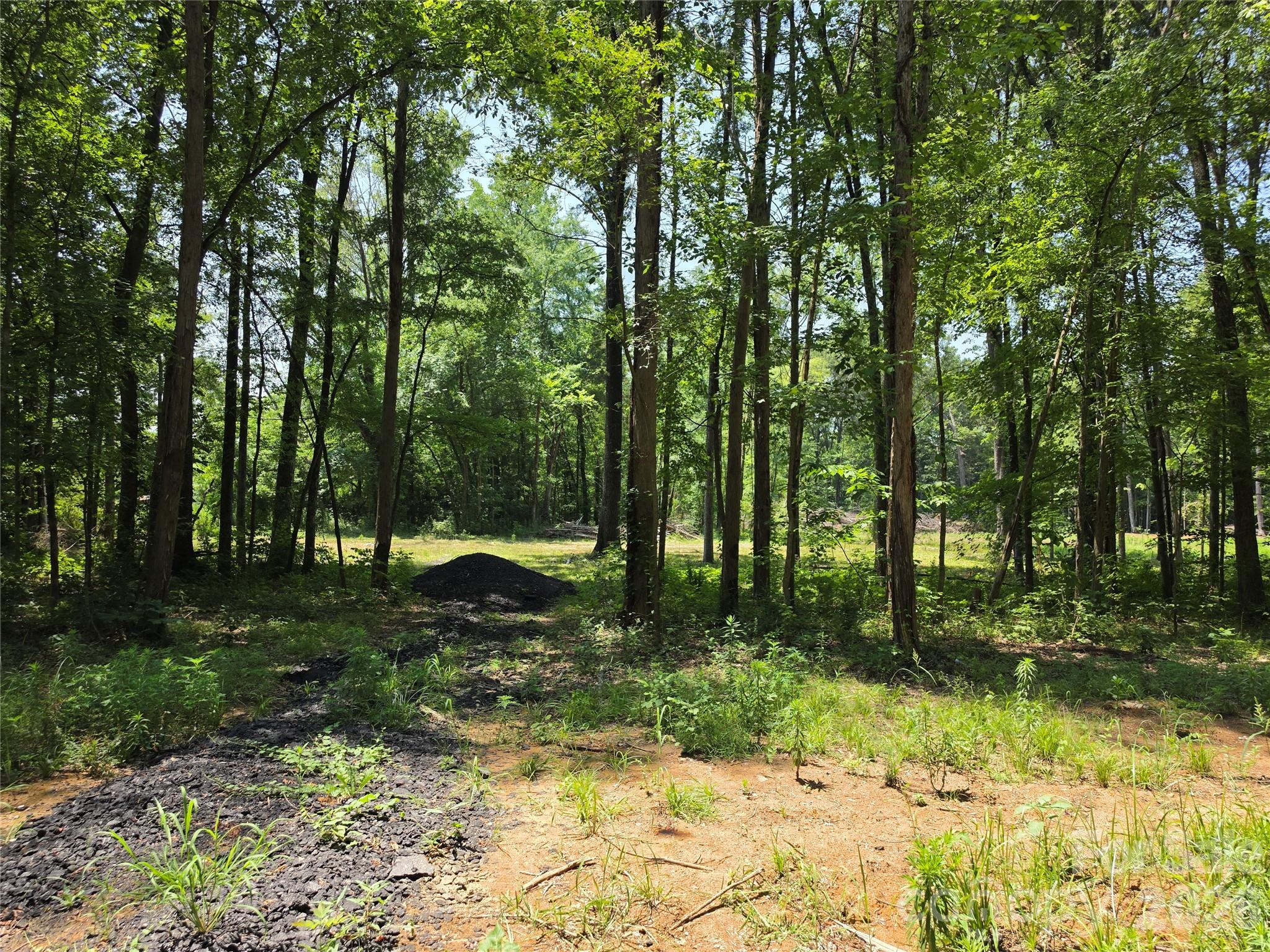 8321 Rocky River Road Property Photo 3