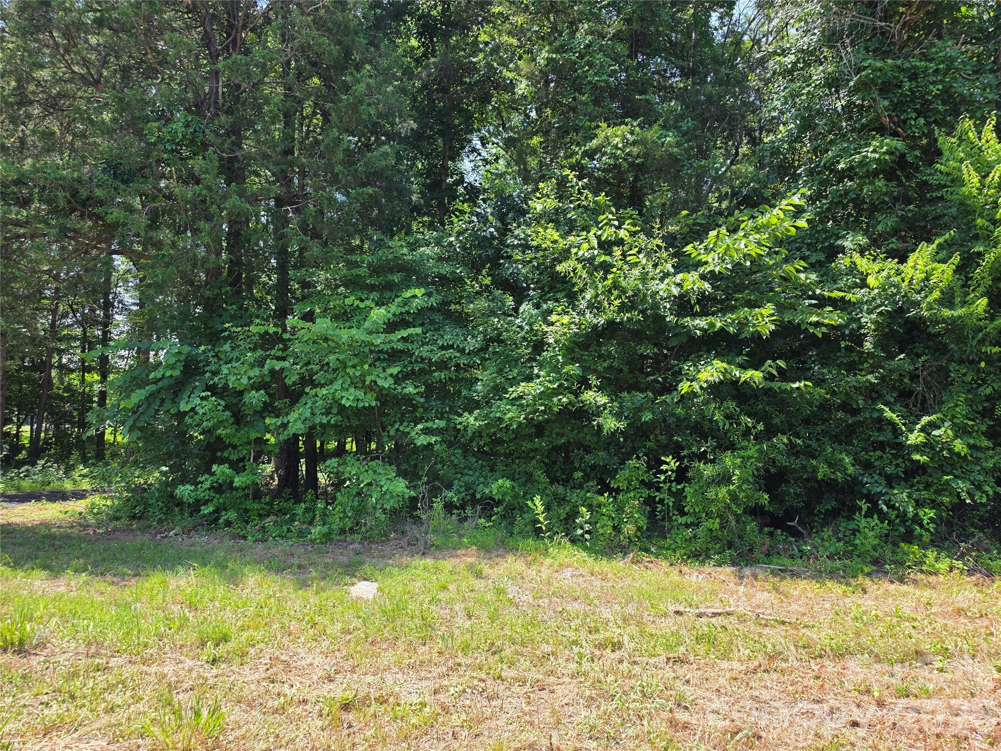 8321 Rocky River Road Property Photo 8