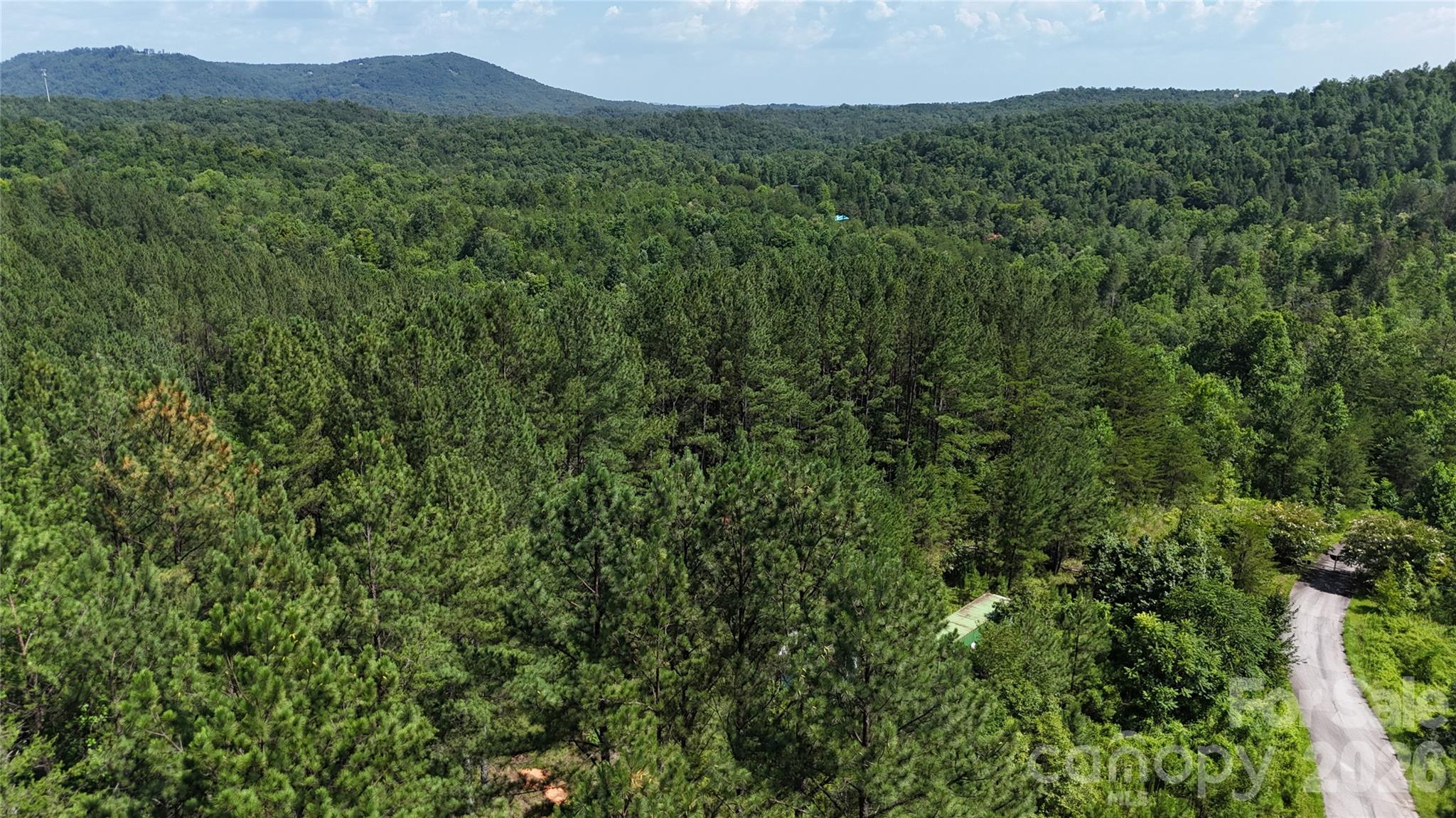 590 Gold Creek Point Property Photo 1