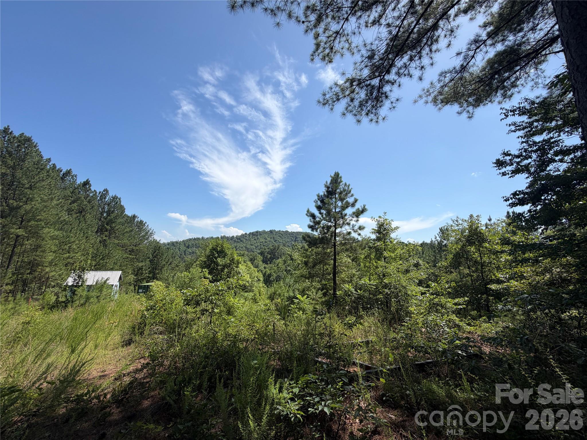 590 Gold Creek Point Property Photo 3