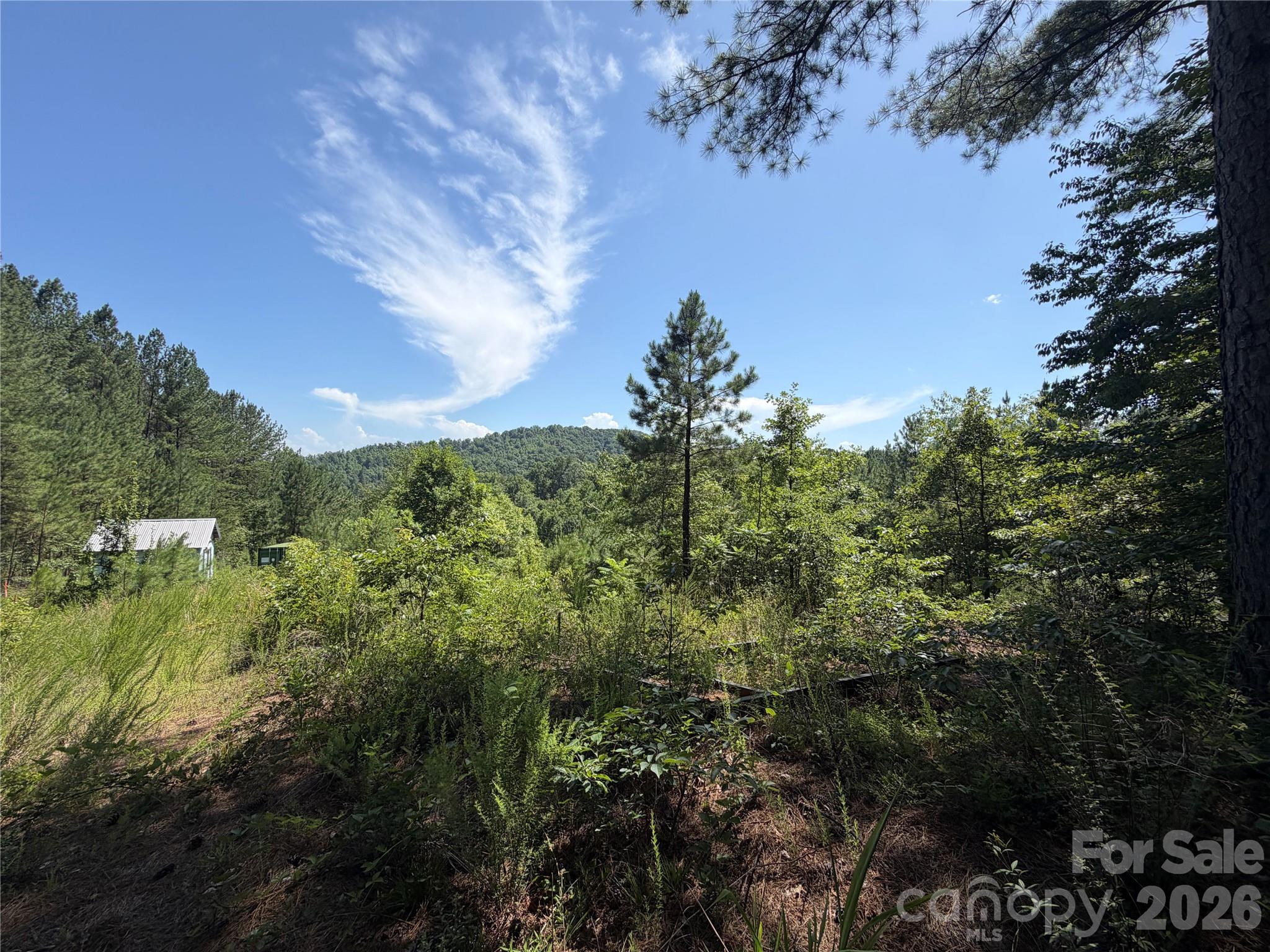 590 Gold Creek Point Property Photo 4