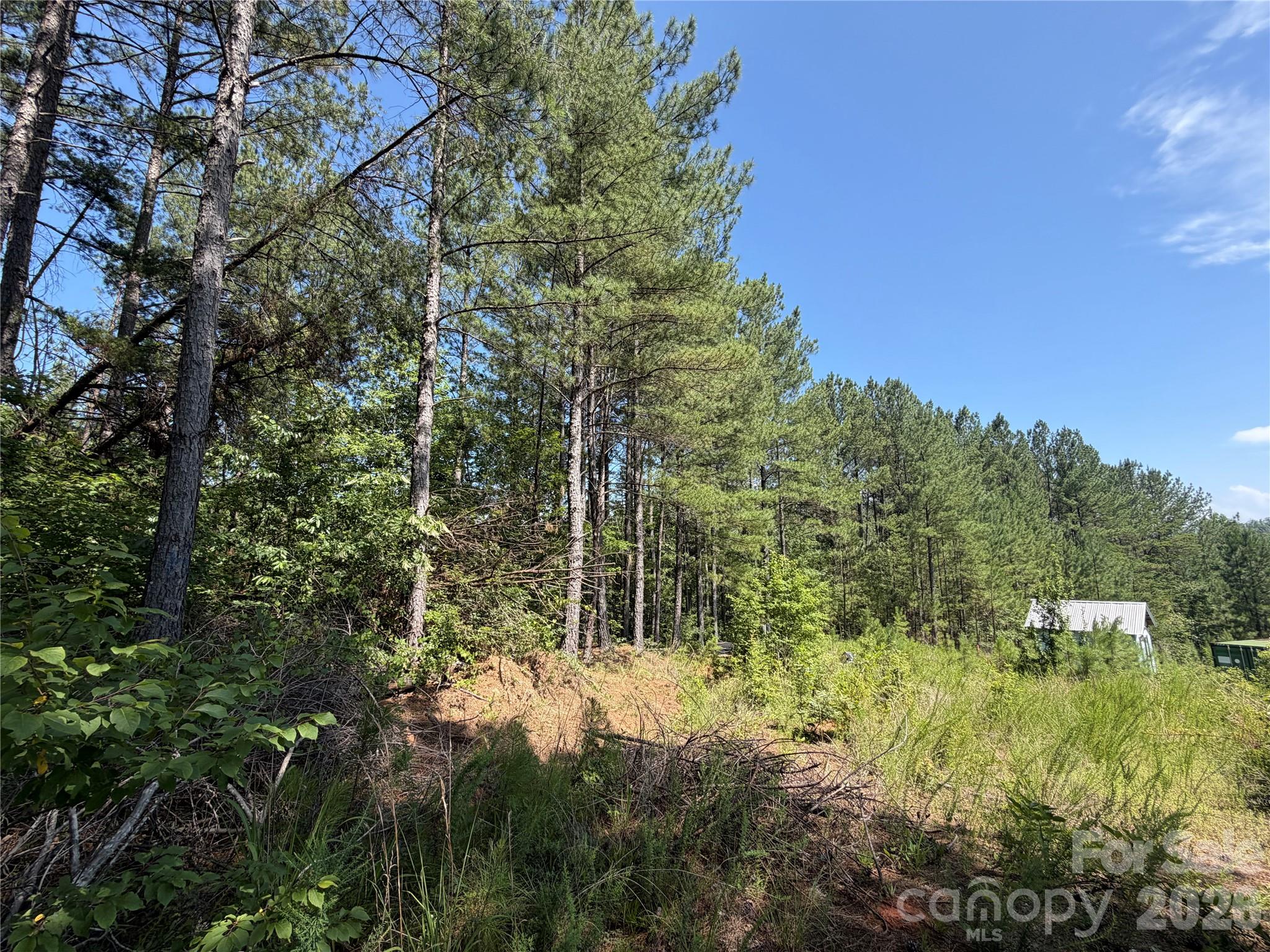 590 Gold Creek Point Property Photo 5