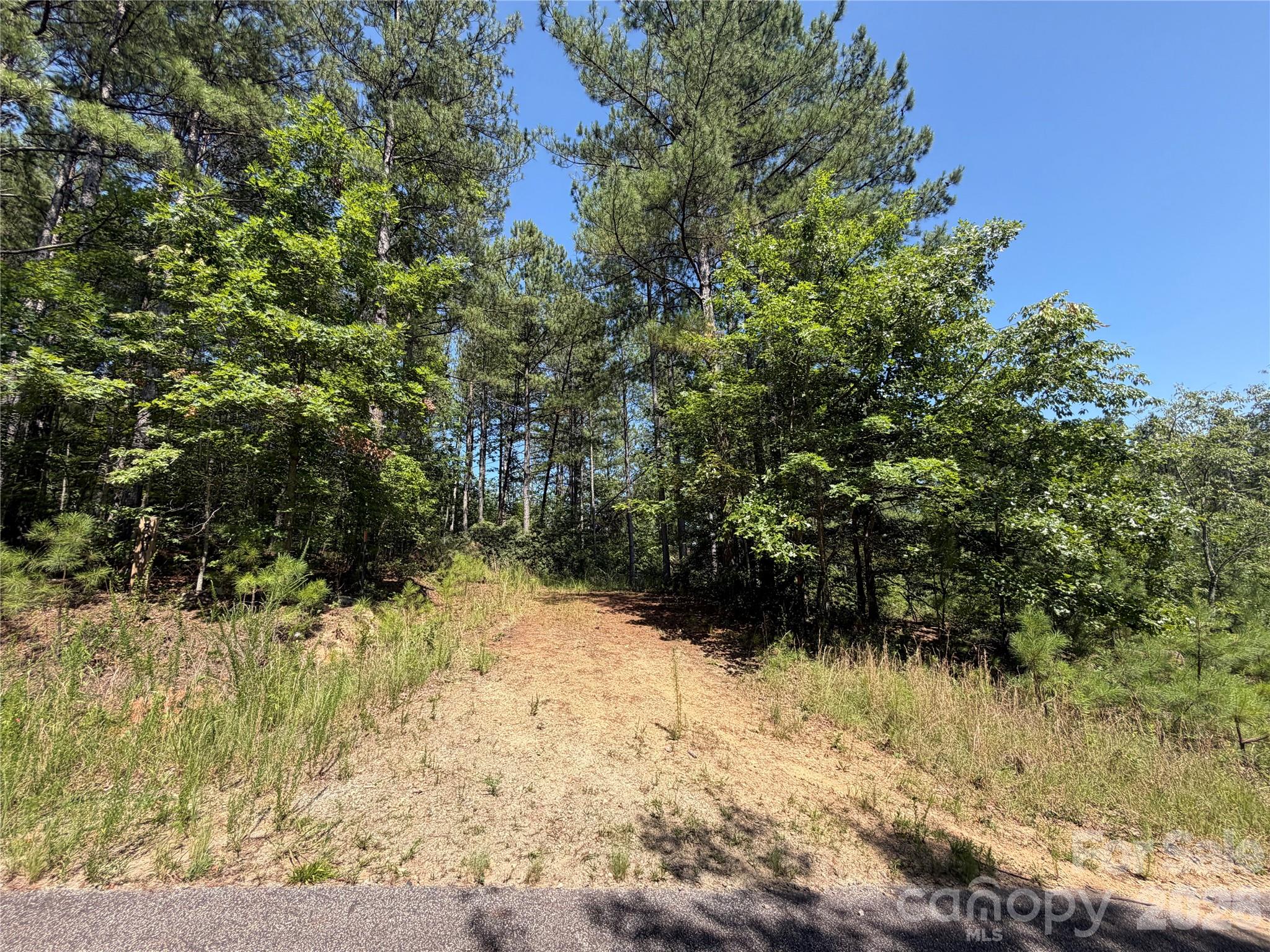 590 Gold Creek Point Property Photo 6