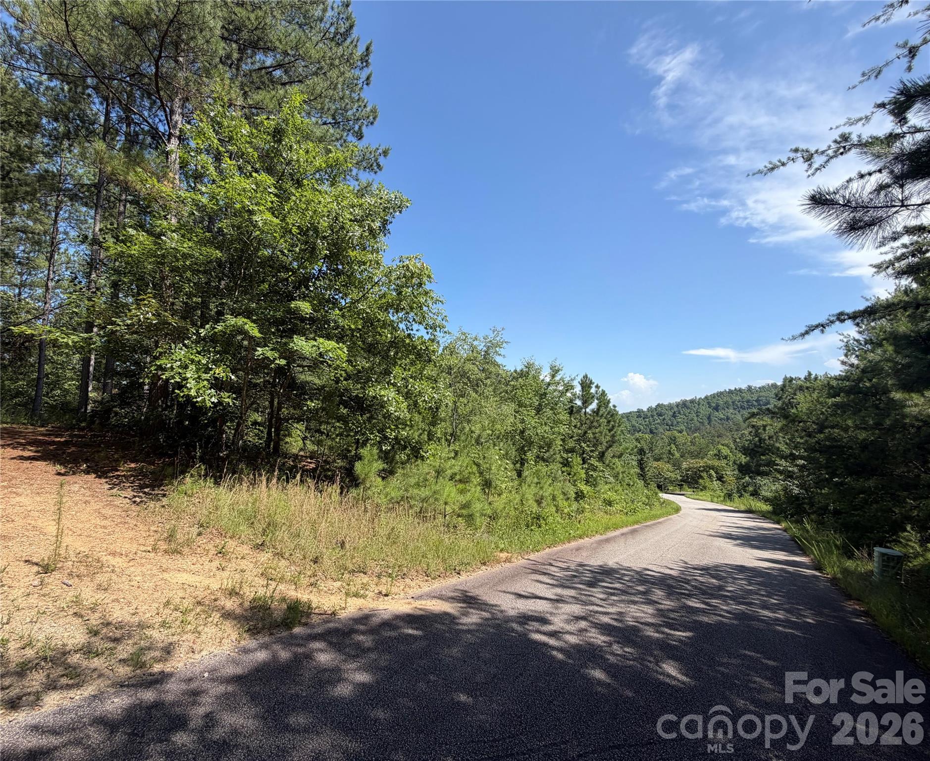 590 Gold Creek Point Property Photo 7