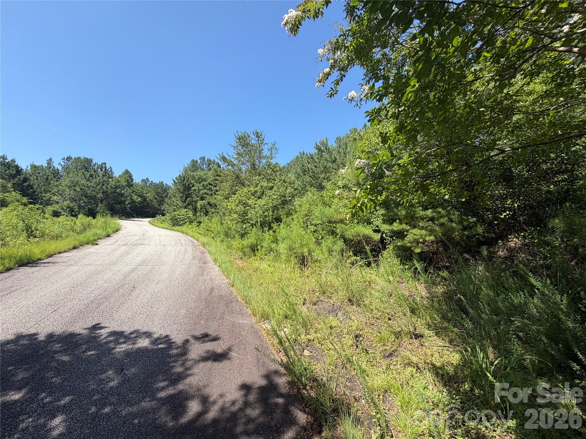 590 Gold Creek Point Property Photo 8