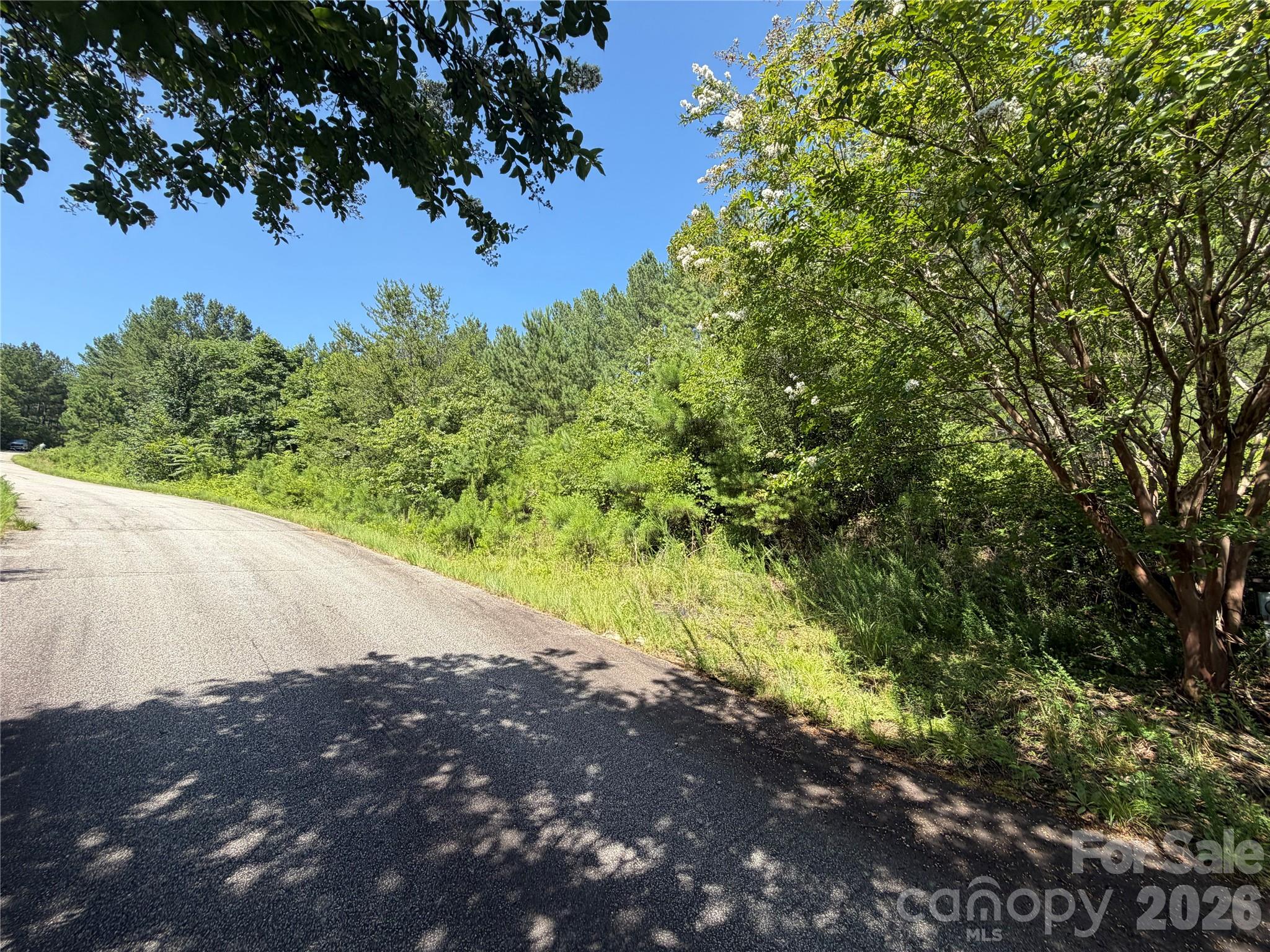 590 Gold Creek Point Property Photo 9