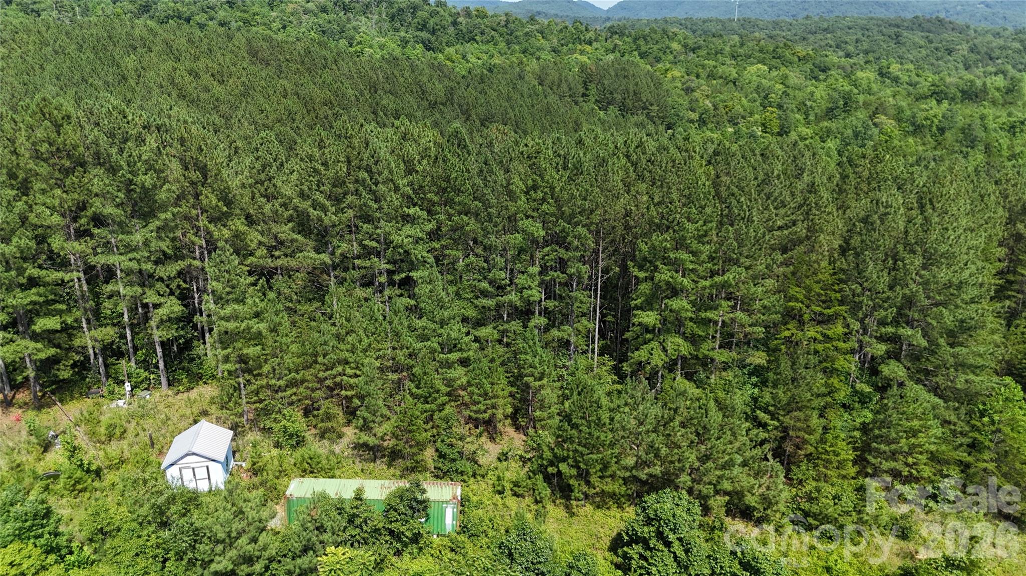 590 Gold Creek Point Property Photo 10