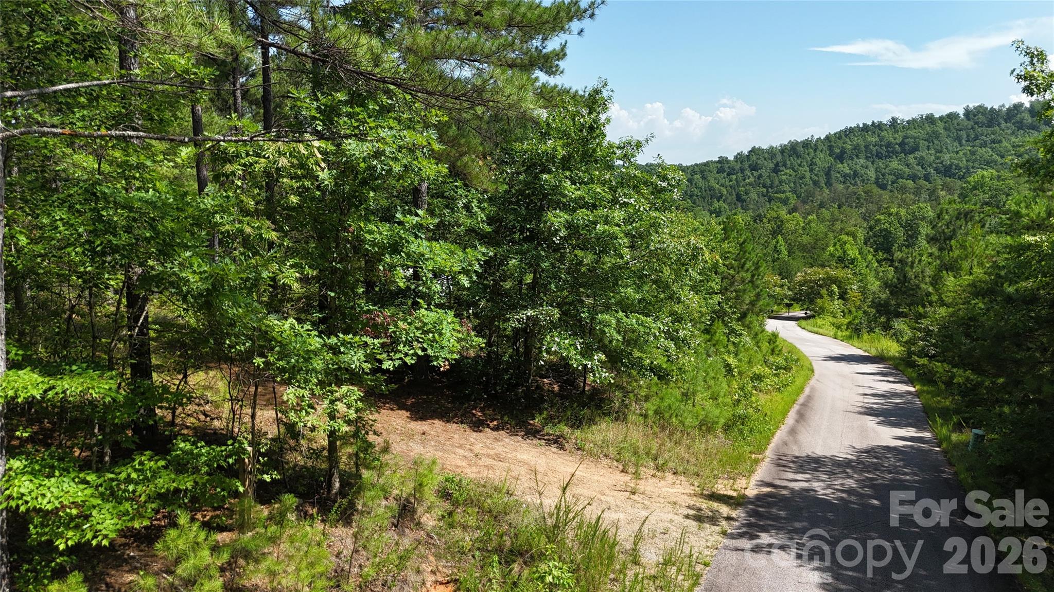 590 Gold Creek Point Property Photo 11