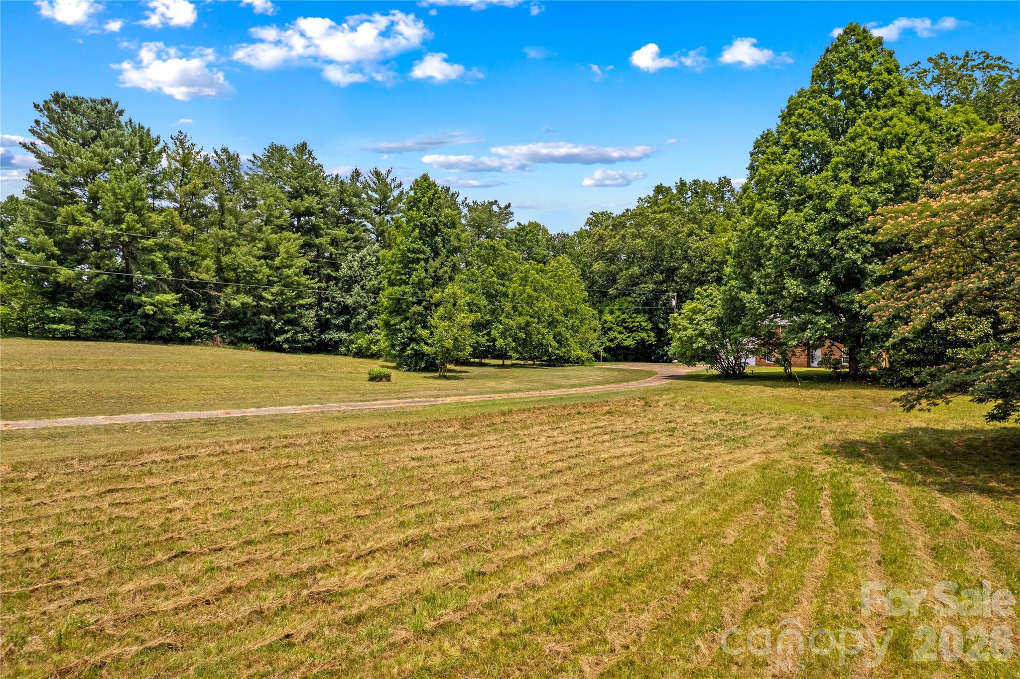 155 Duck Creek Road Property Photo 3