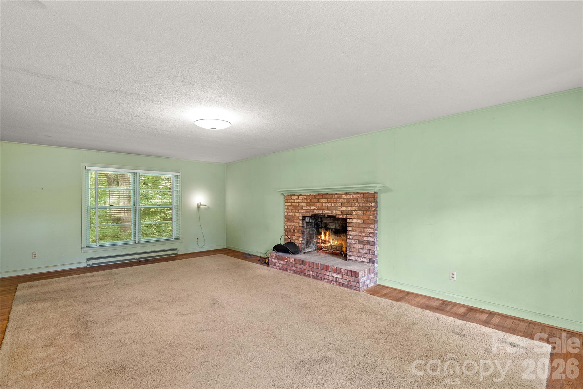 155 Duck Creek Road Property Photo 11