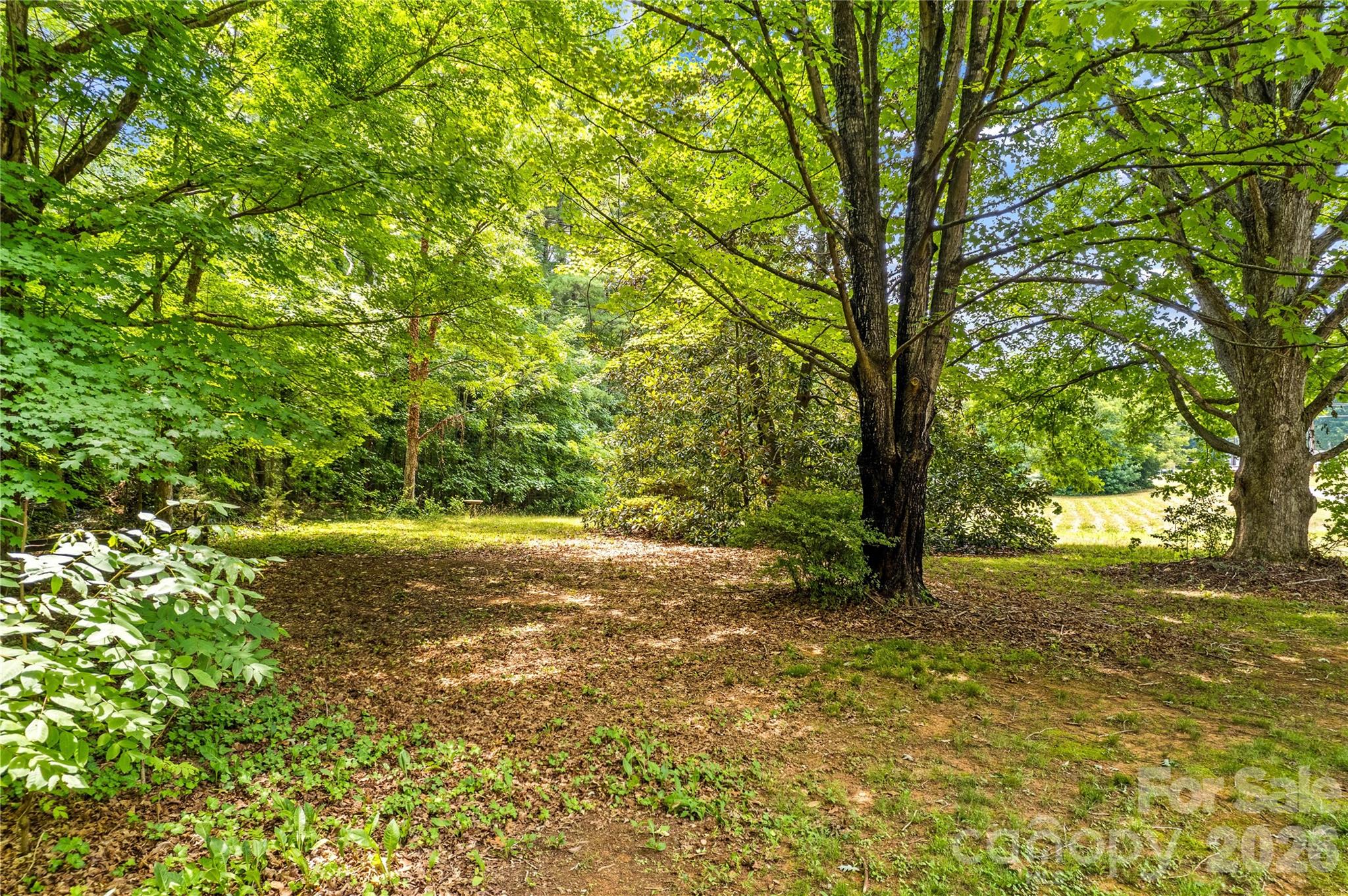 155 Duck Creek Road Property Photo 32