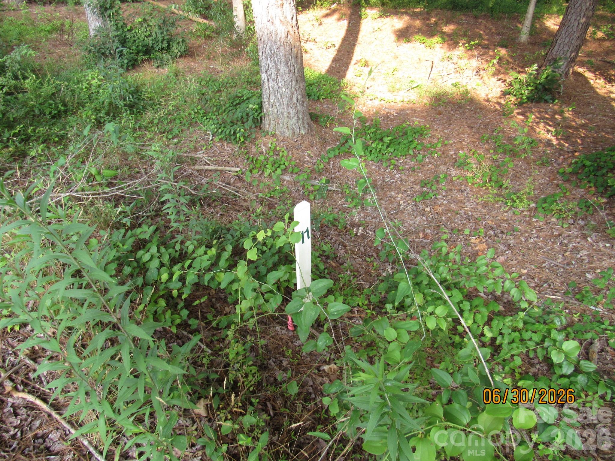 00 Church Road Lot 11 Property Photo 3