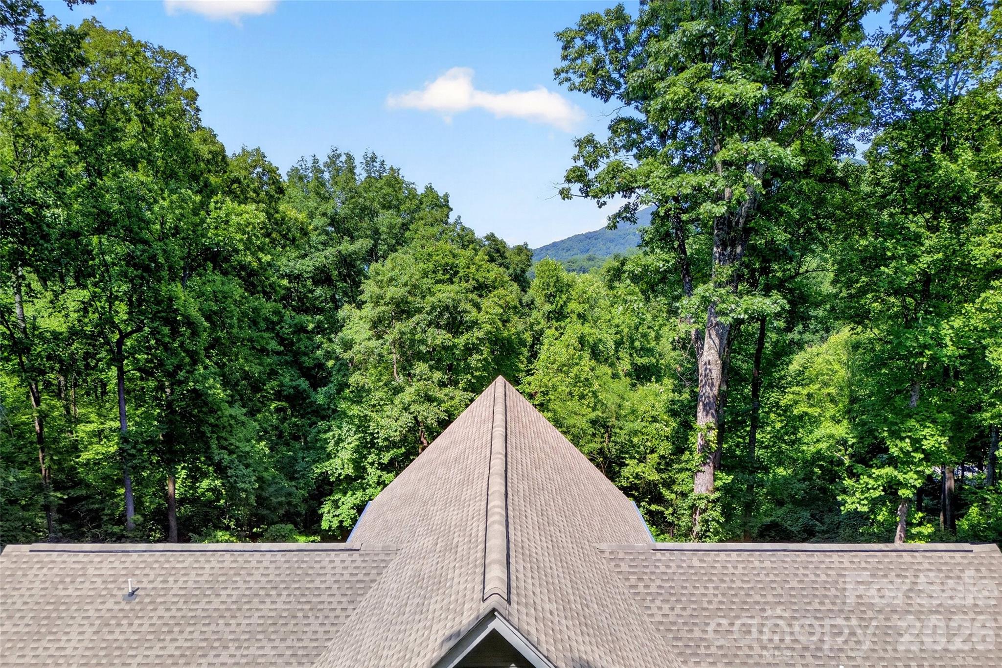 771 Sally Gap Road Property Photo 2