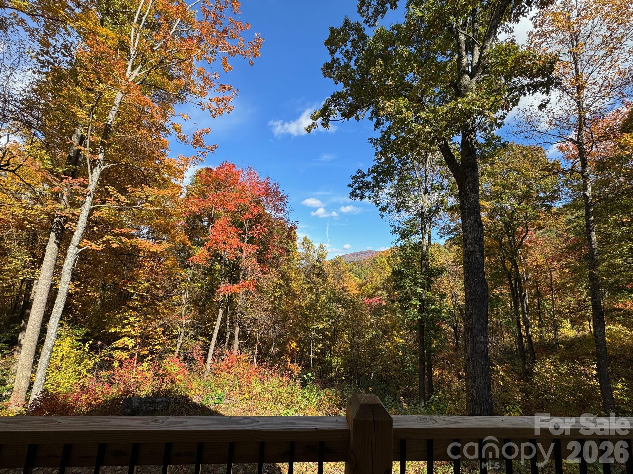 771 Sally Gap Road Property Photo 2